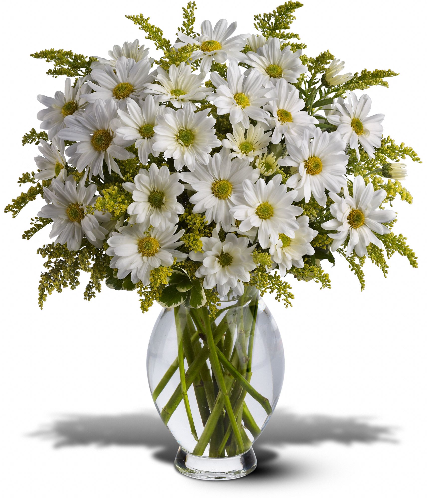 Teleflora's Daisy Days, picture