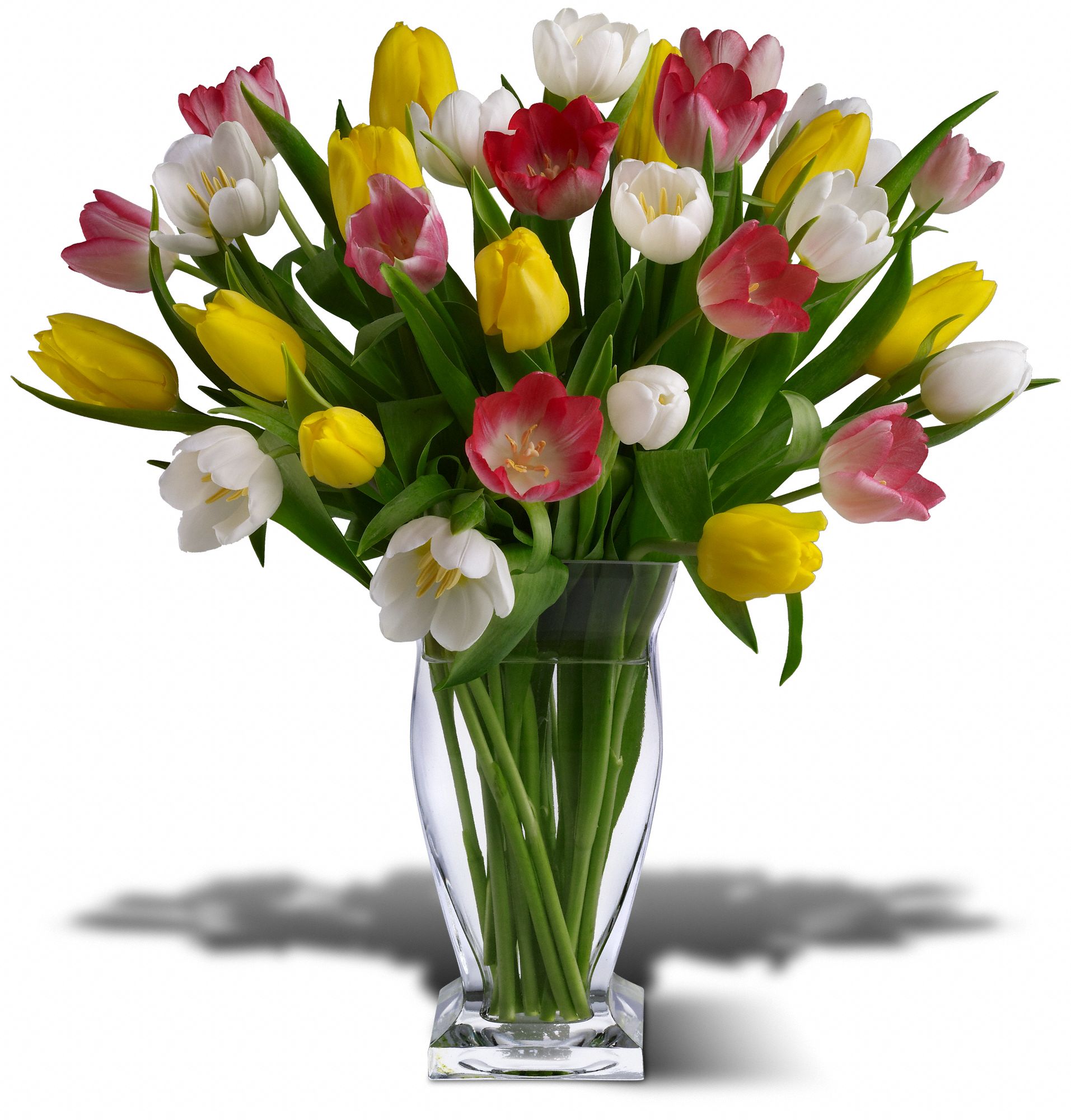 True Love Tulips in Kerhonkson NY CHRISTIAN'S GREENHOUSE Rosegarten Flower Shop