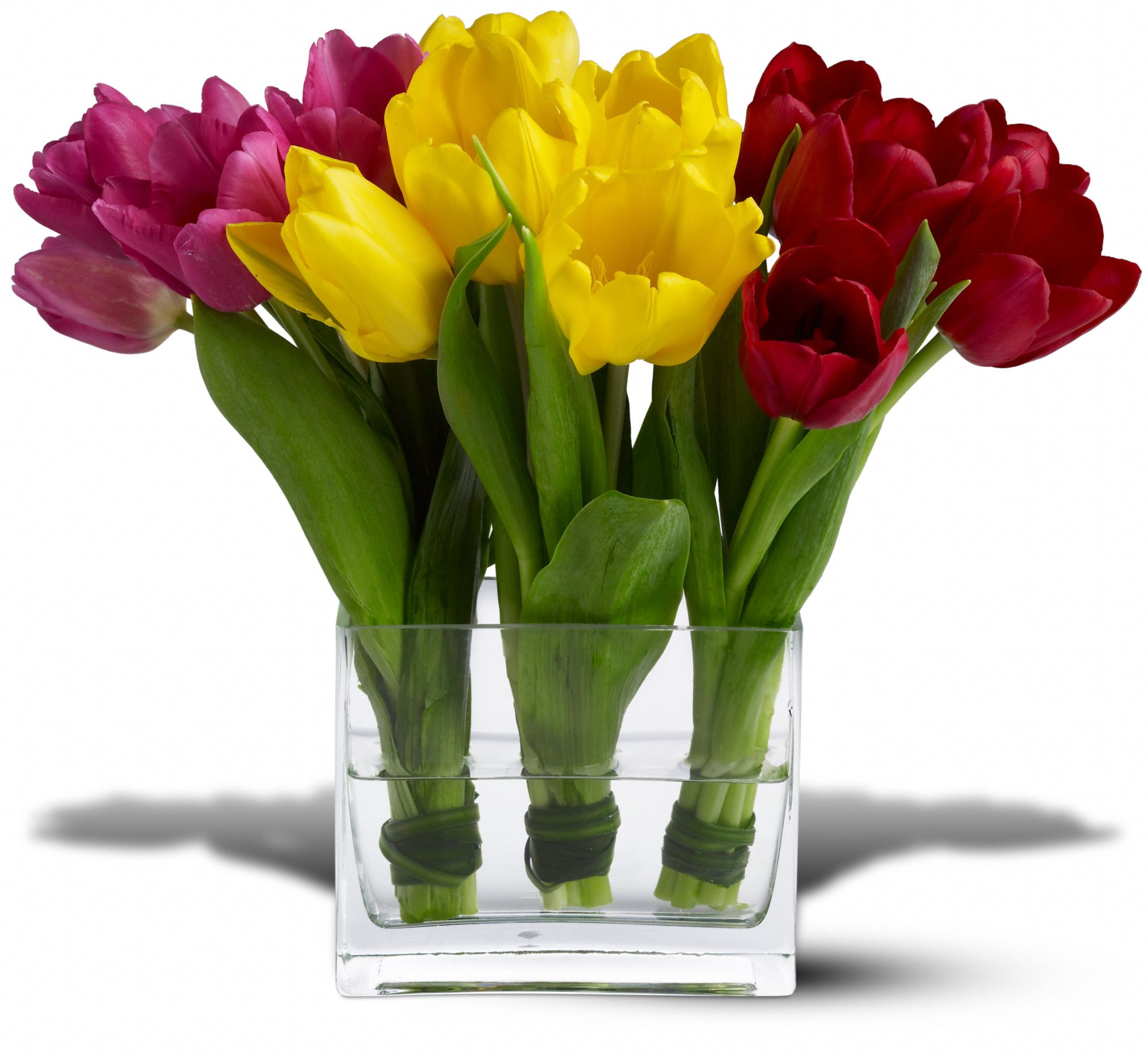 Teleflora's Tulip Trio in Etobicoke&nbsp;ON, Mayflower Displays
