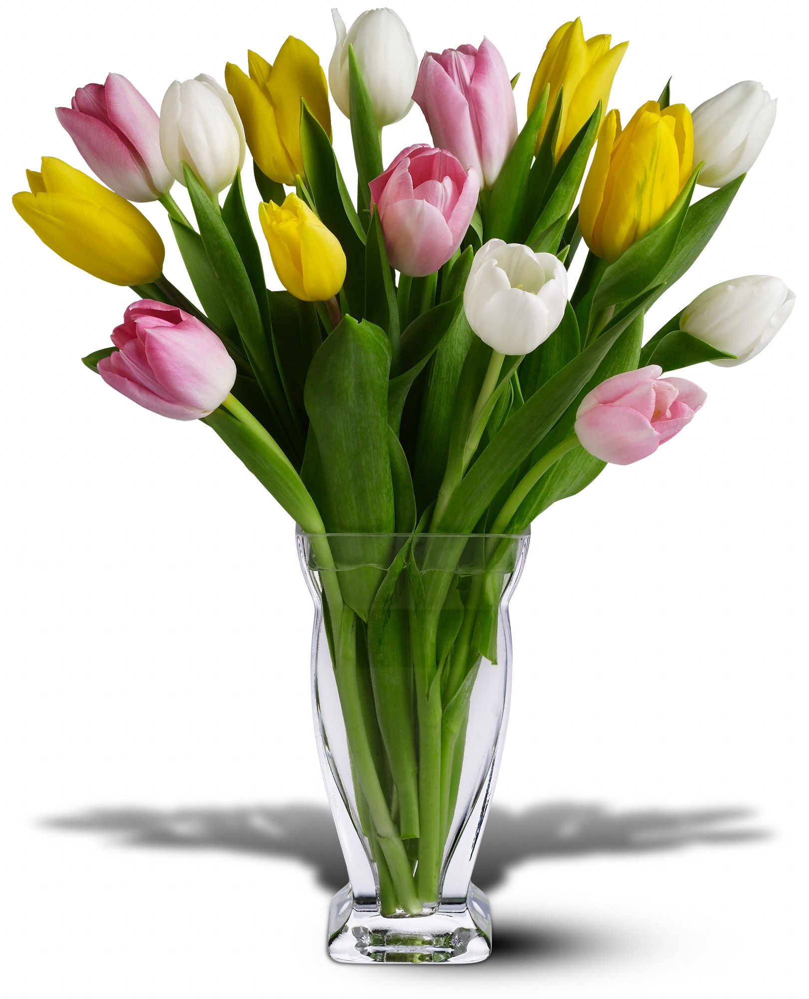 15 Mixed Tulips in Tulsa OK Petal Pushers
