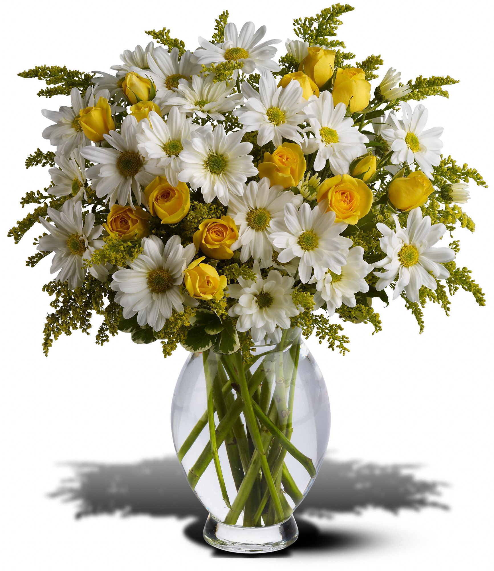 Teleflora's Daisy Days Deluxe, picture