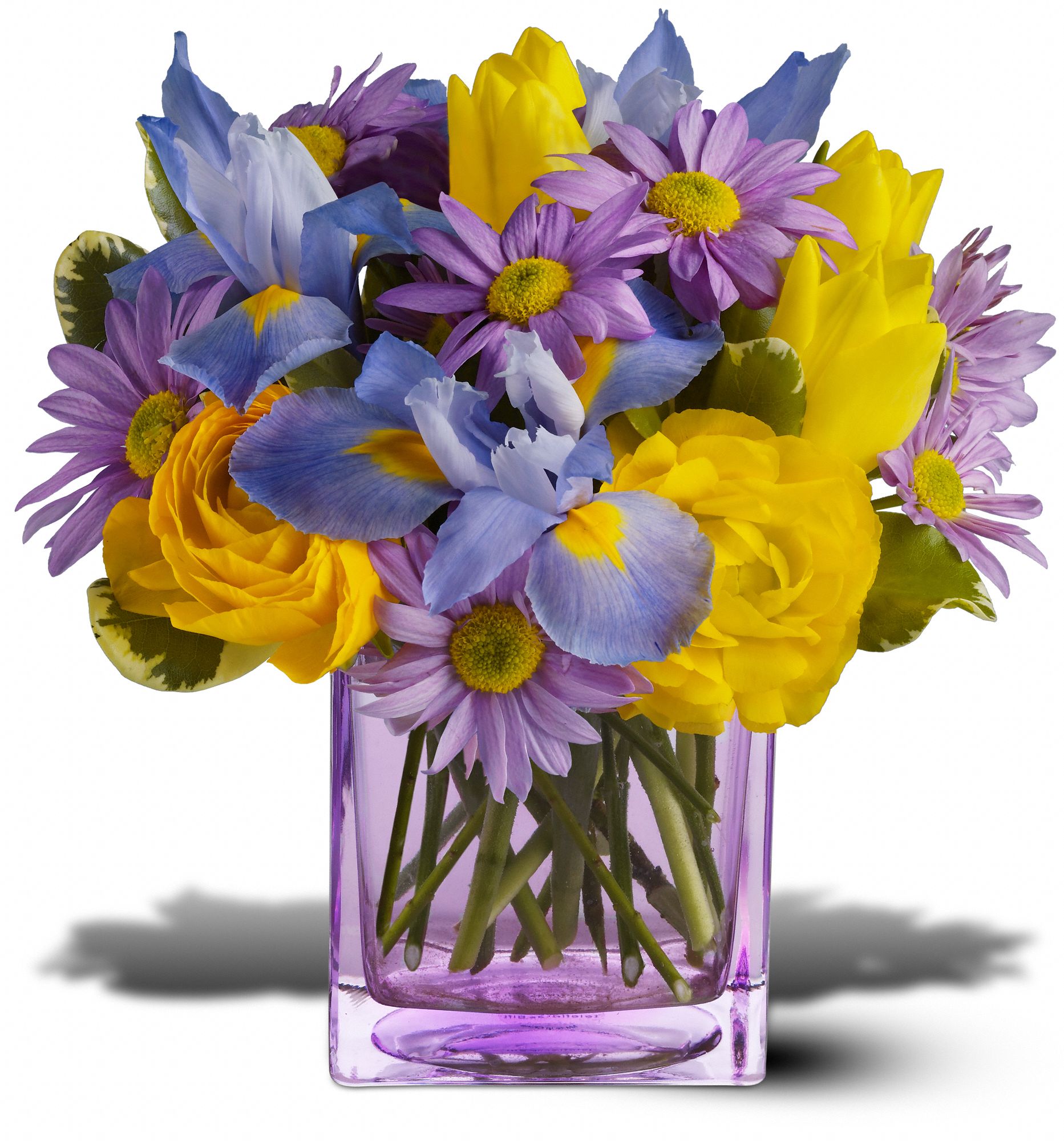 Teleflora's Spring Sunlight, picture