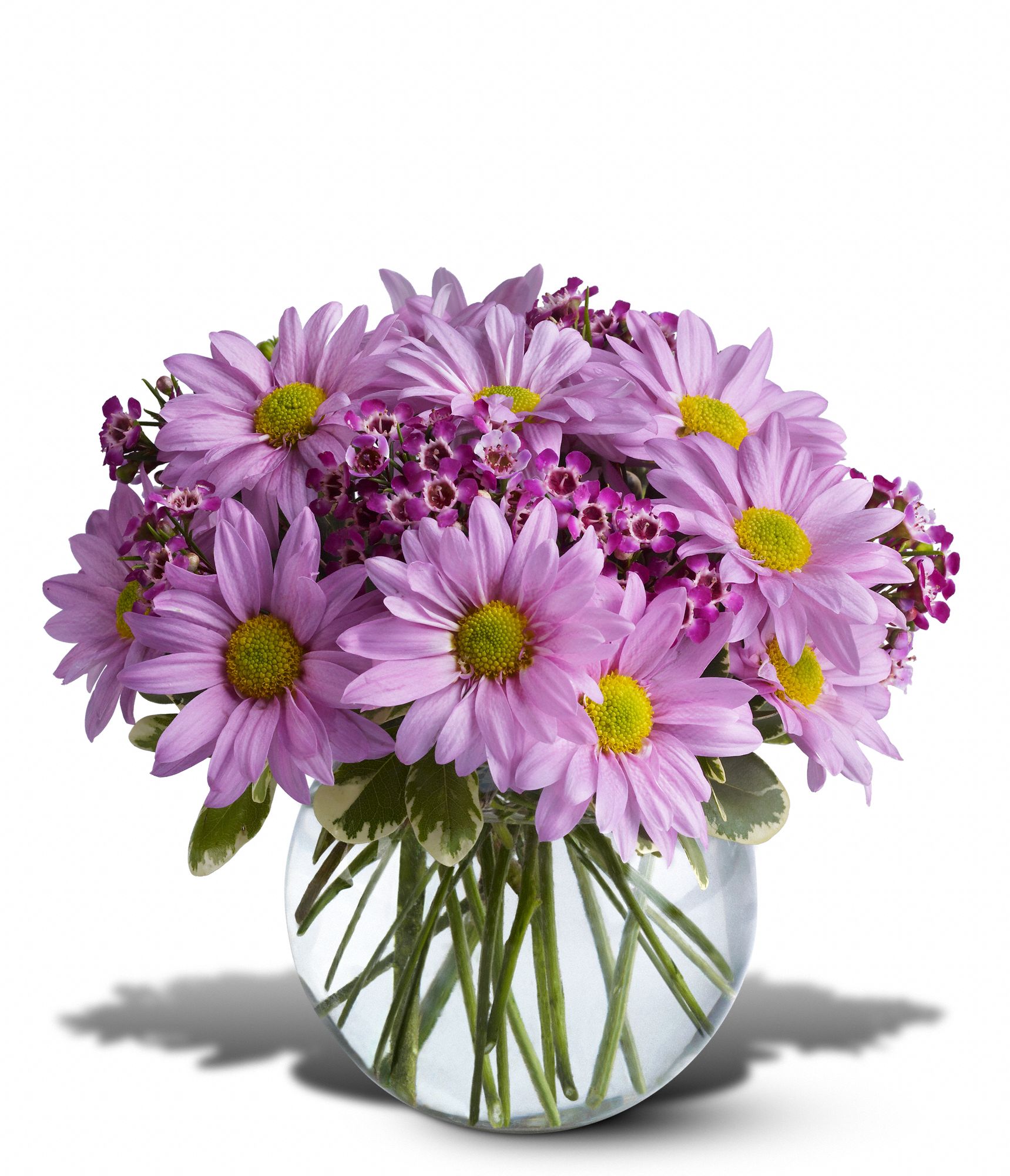 215998?&wid=161&fmt=jpeg&qlt=90,0&op_sha