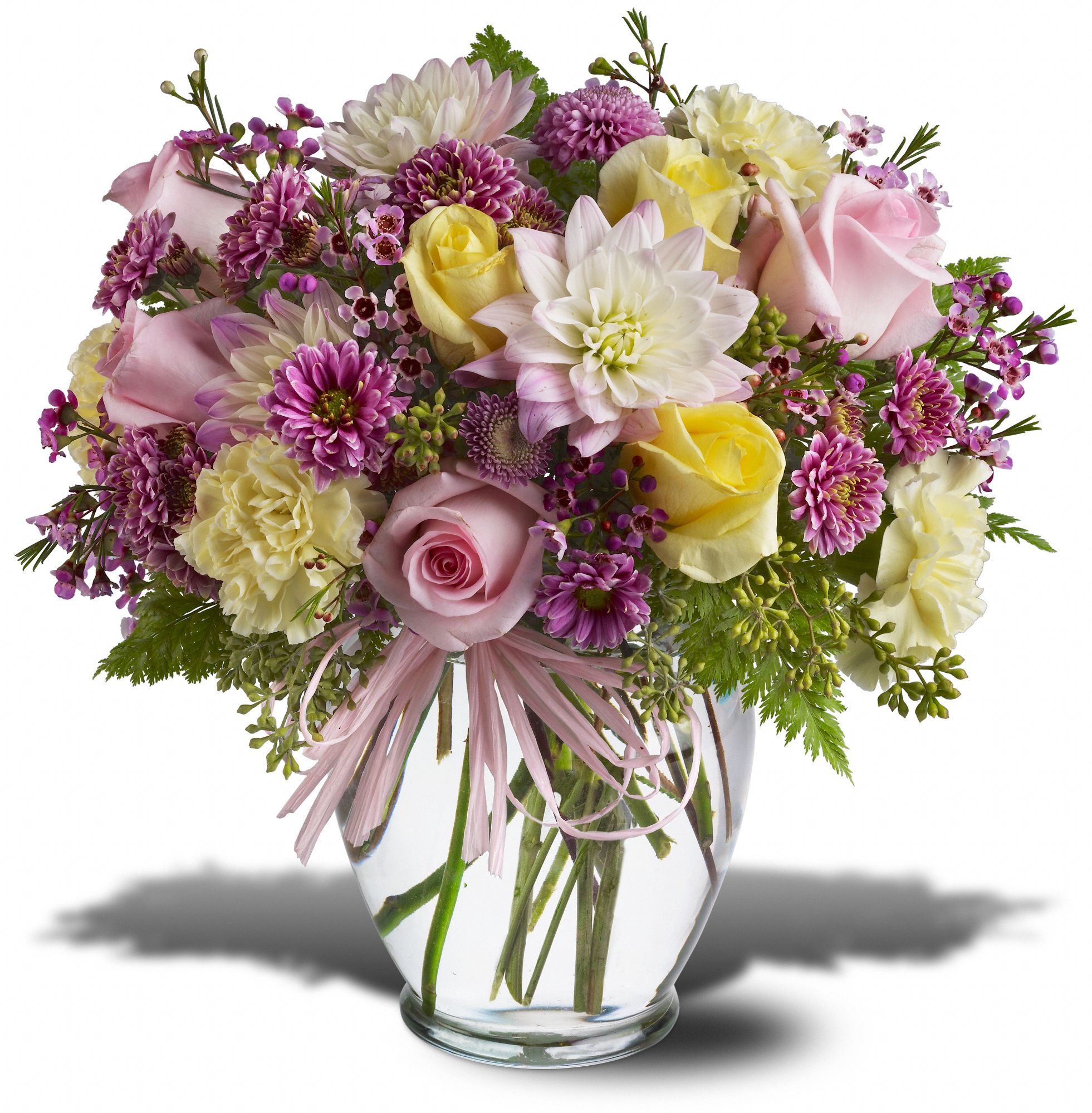 Soft and Beautiful, picture