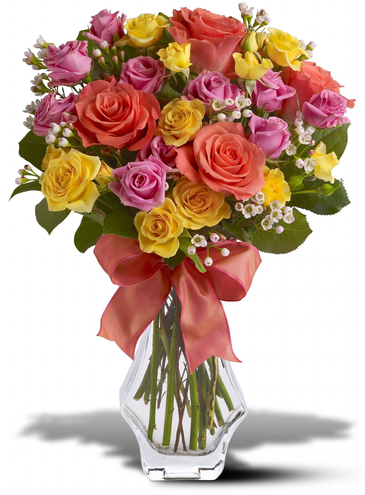 Just Splendid Roses graphic