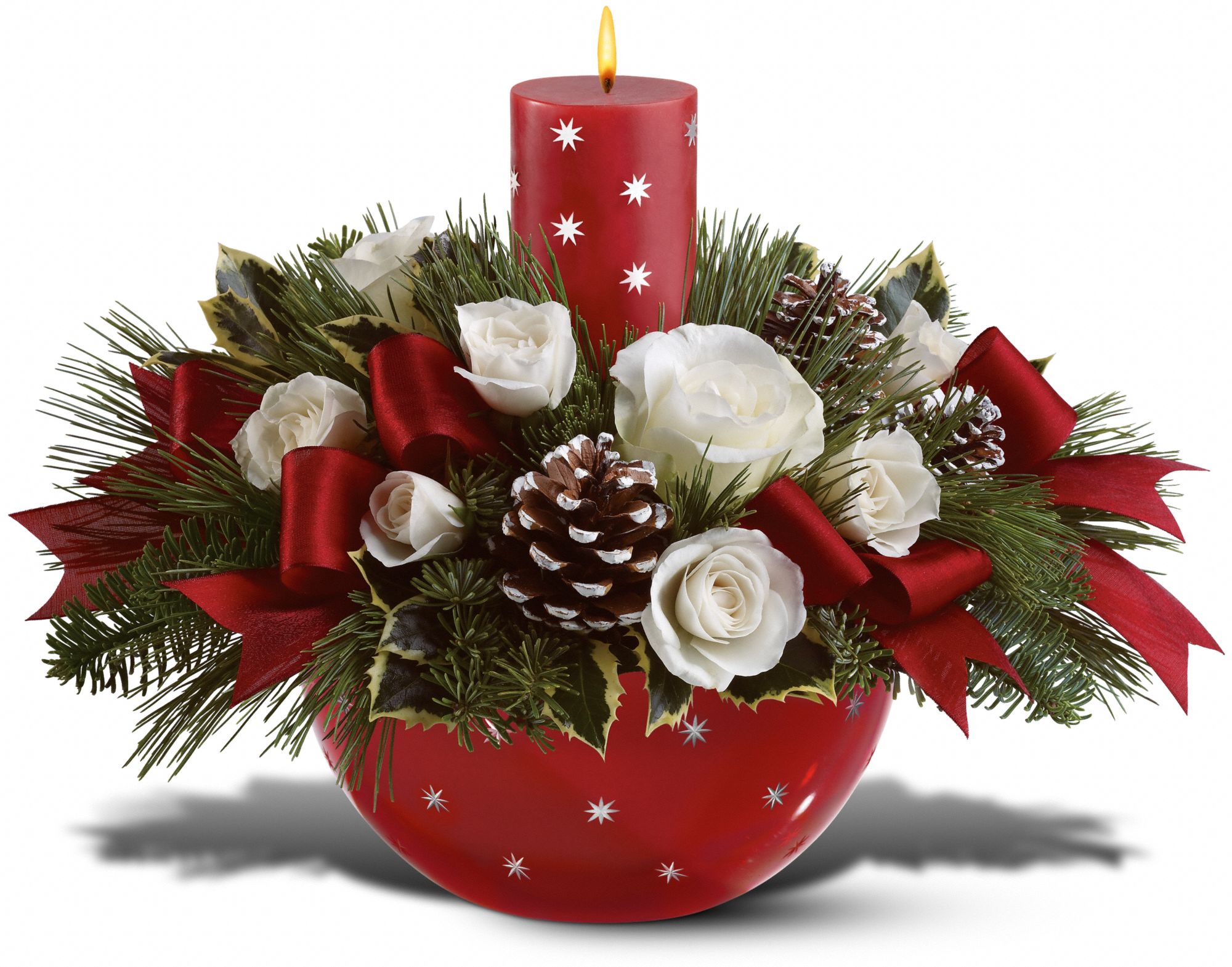 Holiday Star Bowl Bouquet by Teleflora, picture
