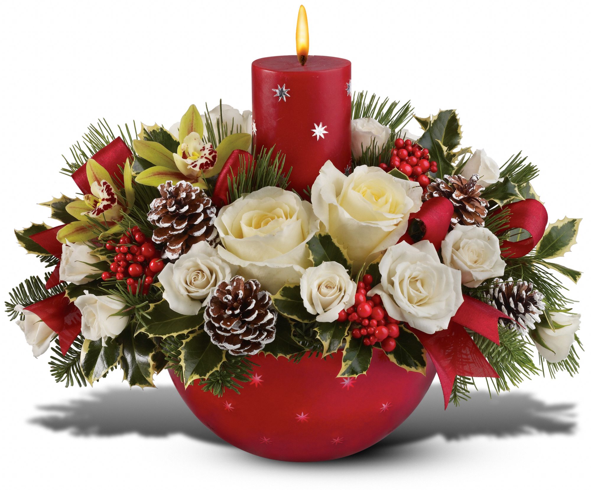Holiday Star Bowl Bouquet by Teleflora