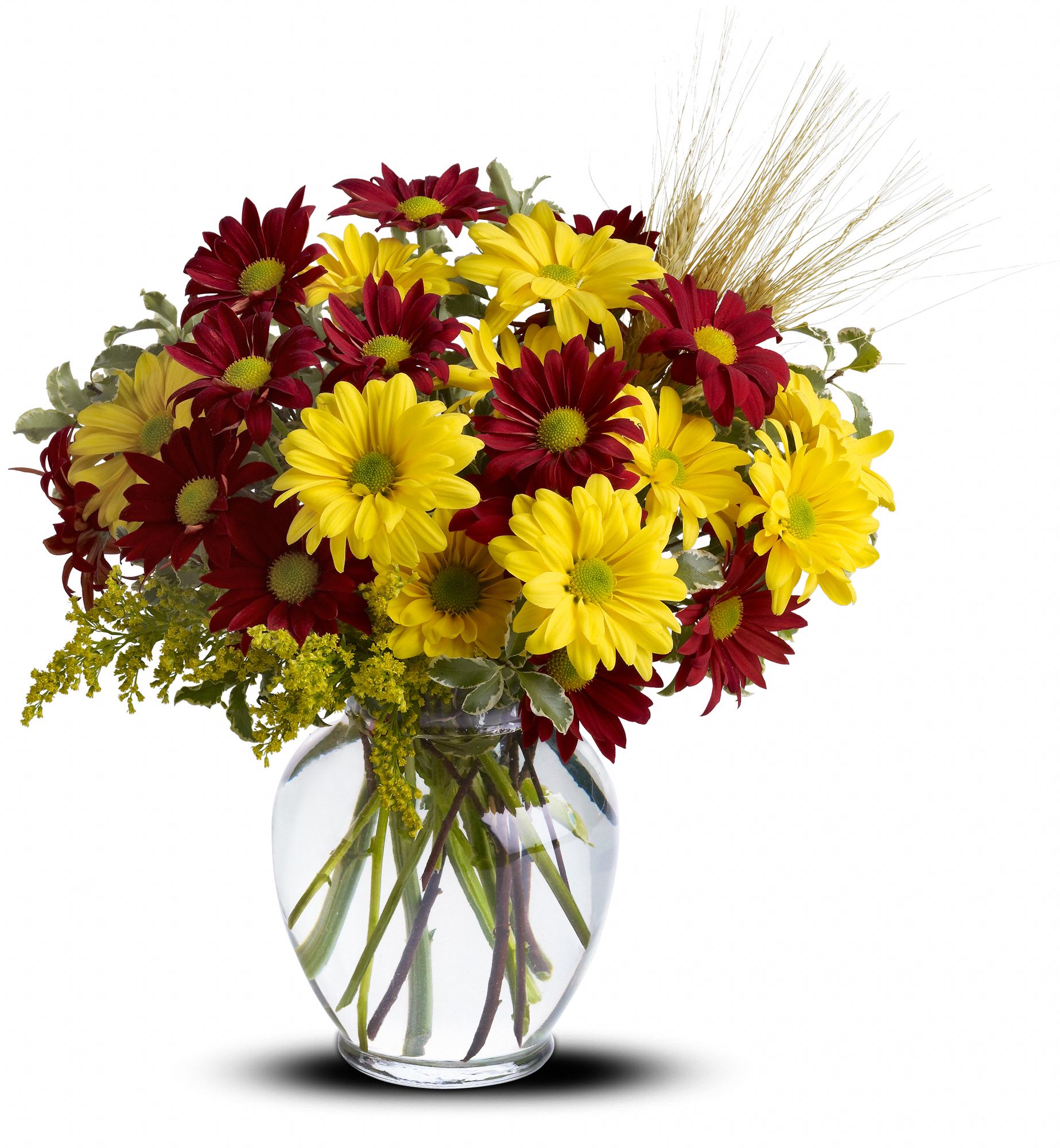 Fall for Daisies in Stuart&nbsp;FL, Harbour Bay Florist