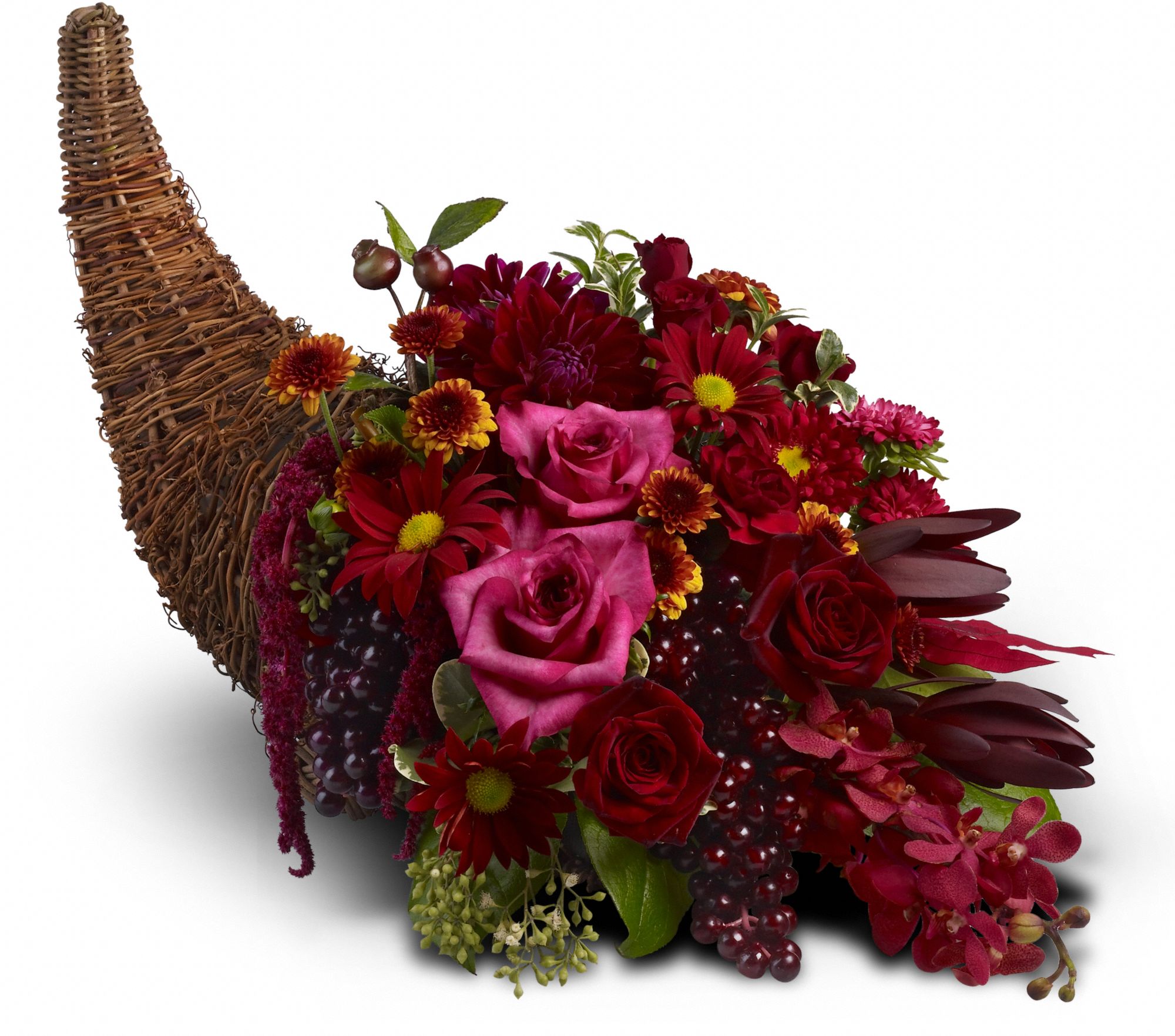 Crimson Cornucopia, picture