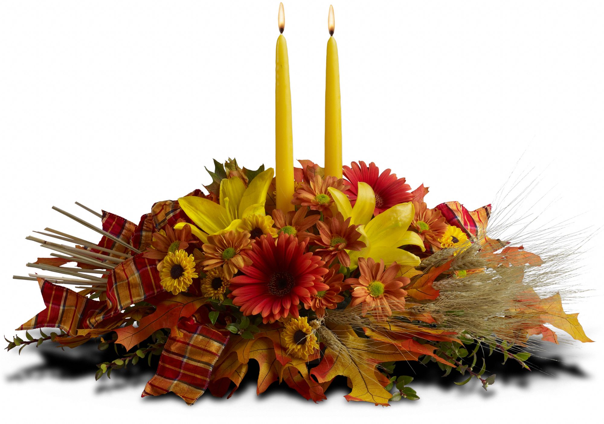 Country Harvest, picture