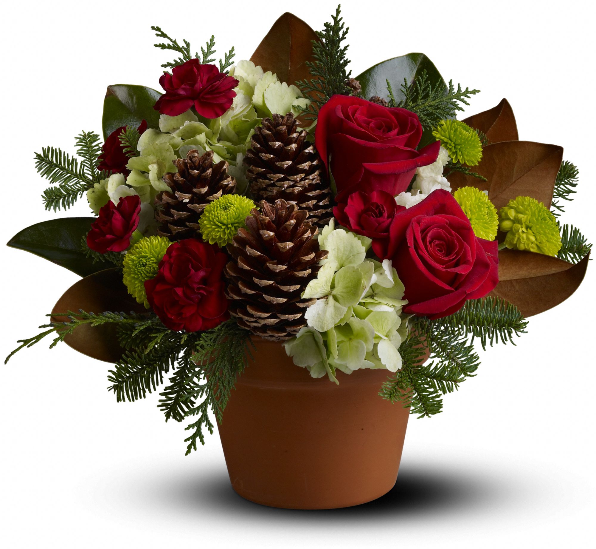 Countryside Christmas in London ON Springhill Flowers