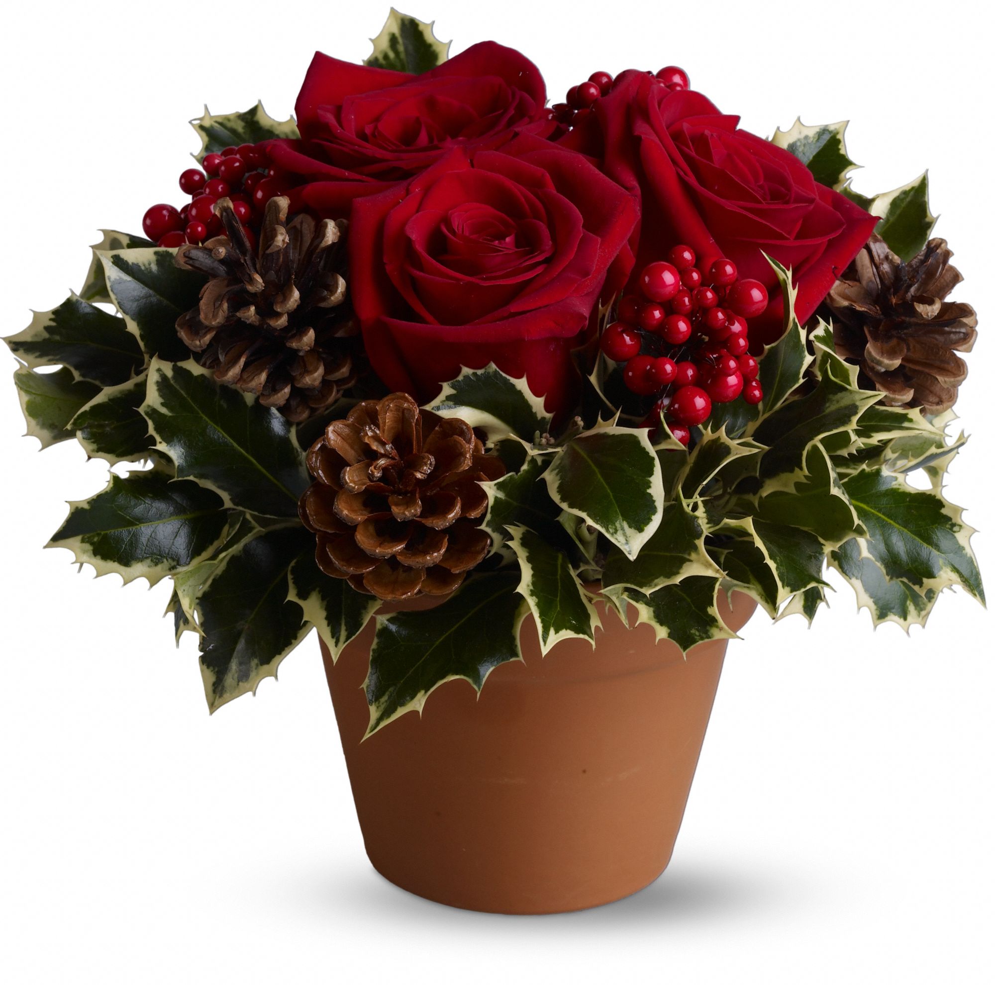 Holly Holiday: Christmas Flowers Bouquet