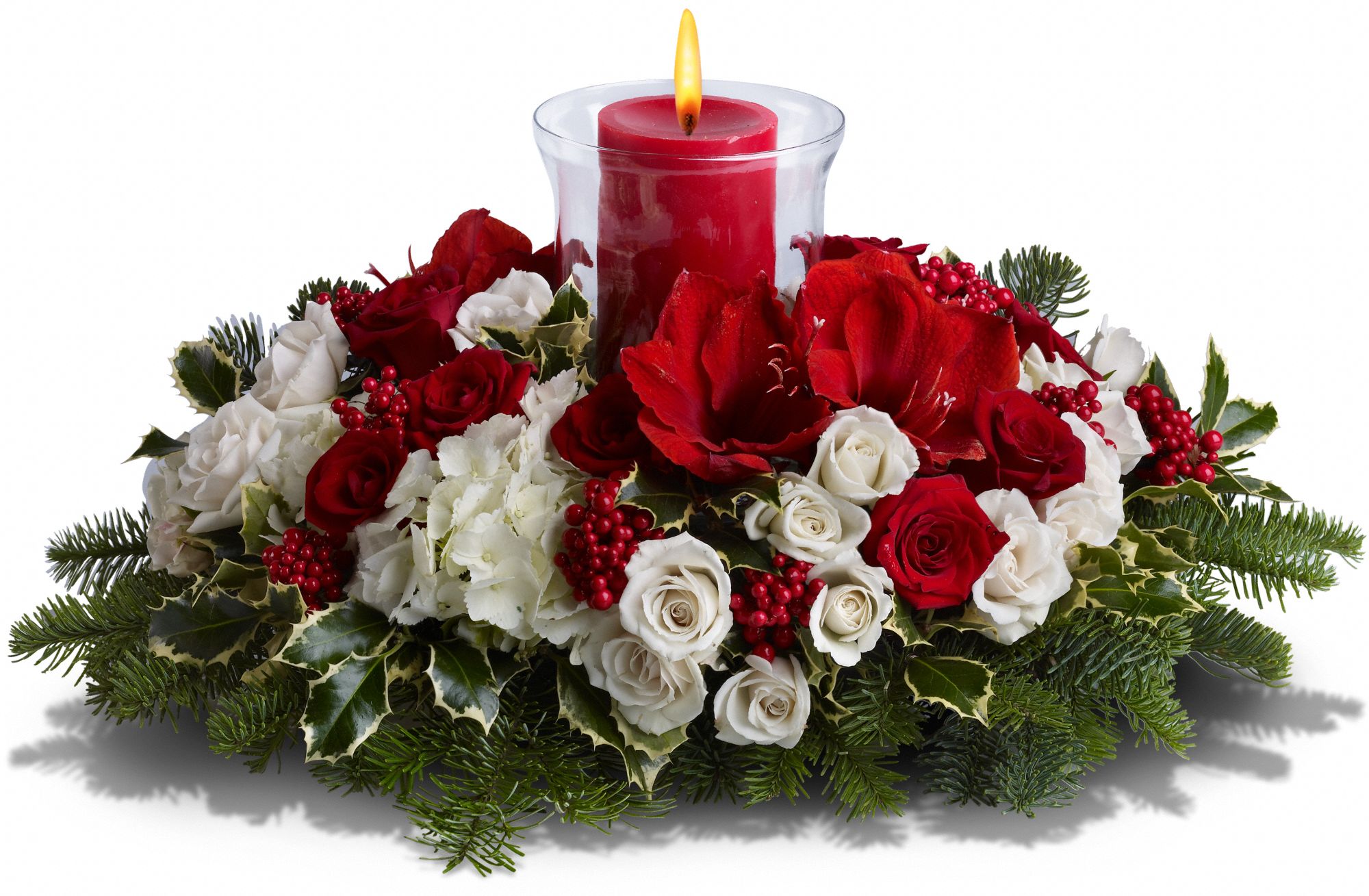 Light up the Holidays graphic
