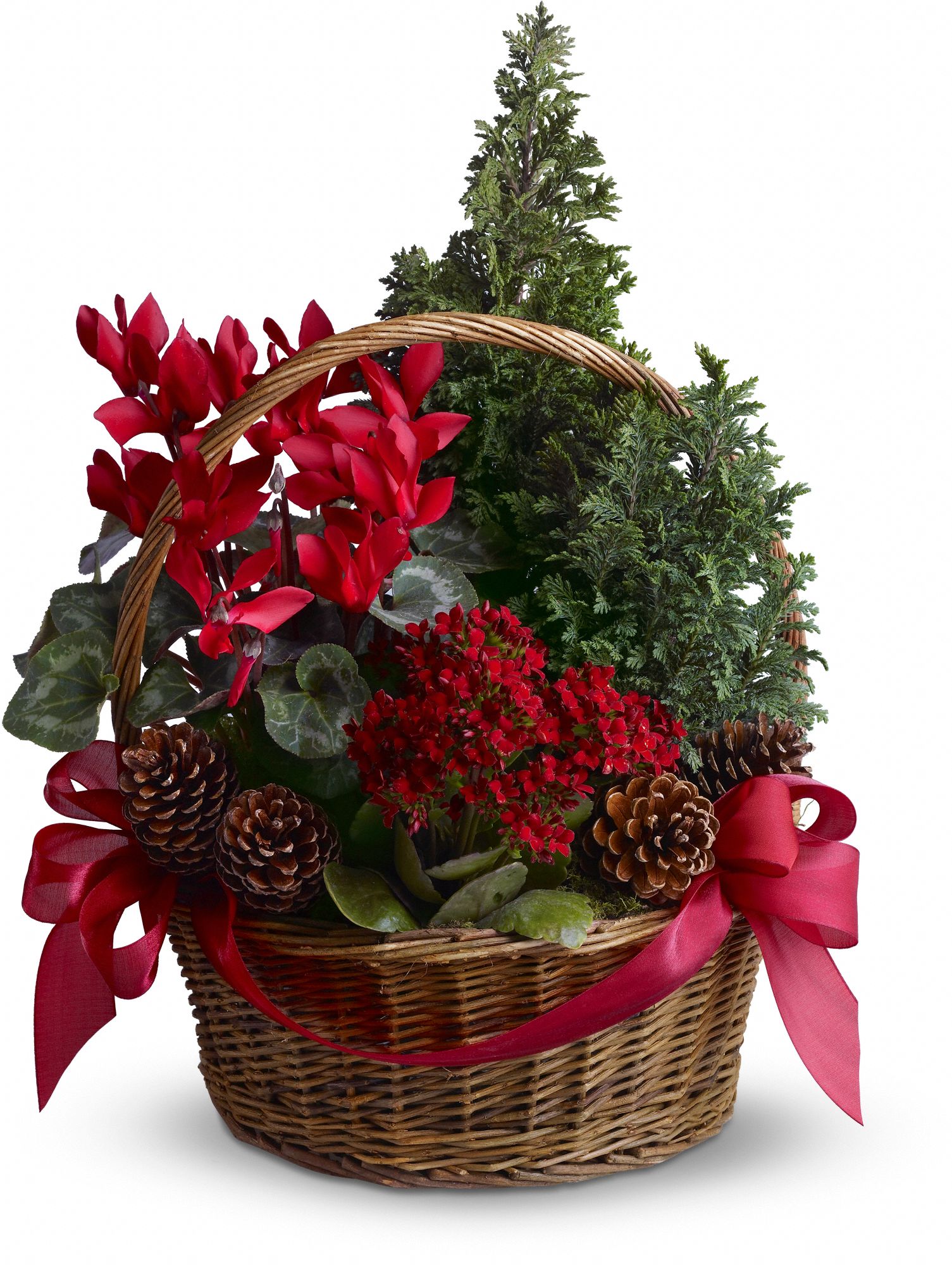 Tannenbaum Christmas Basket