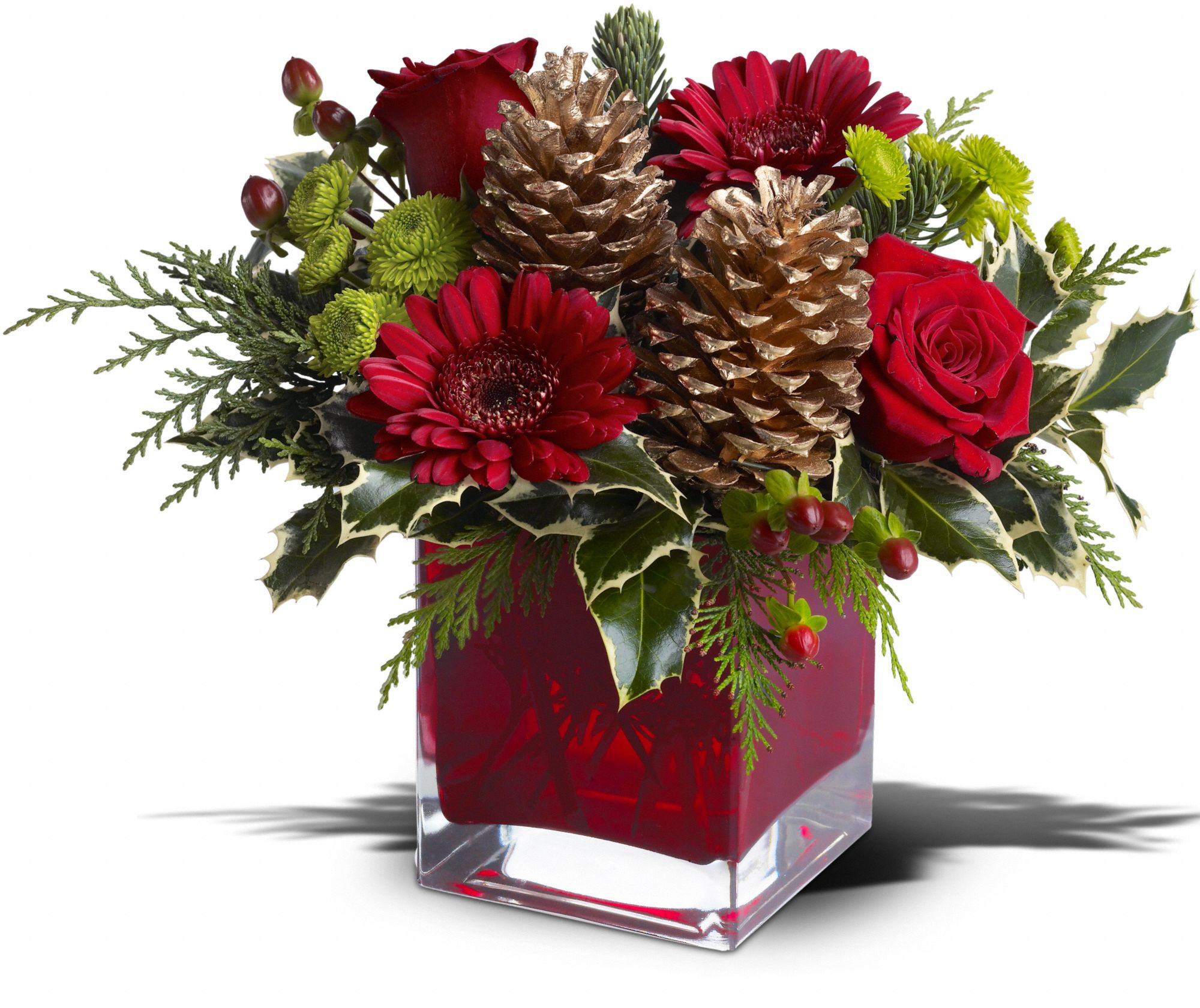 Teleflora's Cozy Christmas graphic