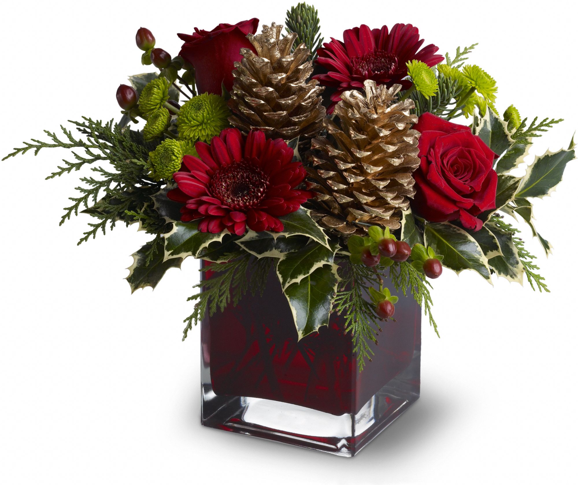 Cozy Christmas by Teleflora