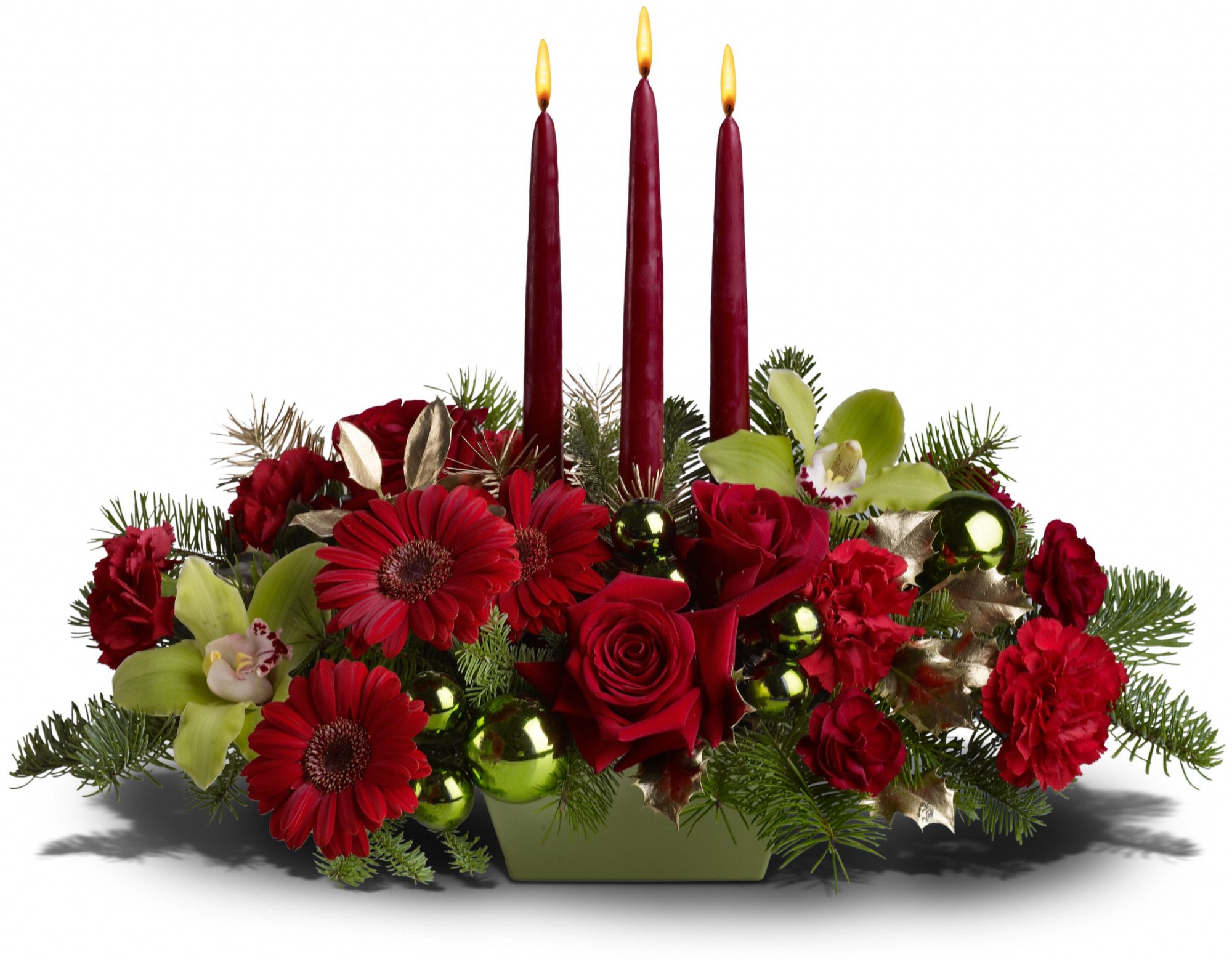 Dreaming of Christmas in Las Vegas NV Rain Forest Flowers