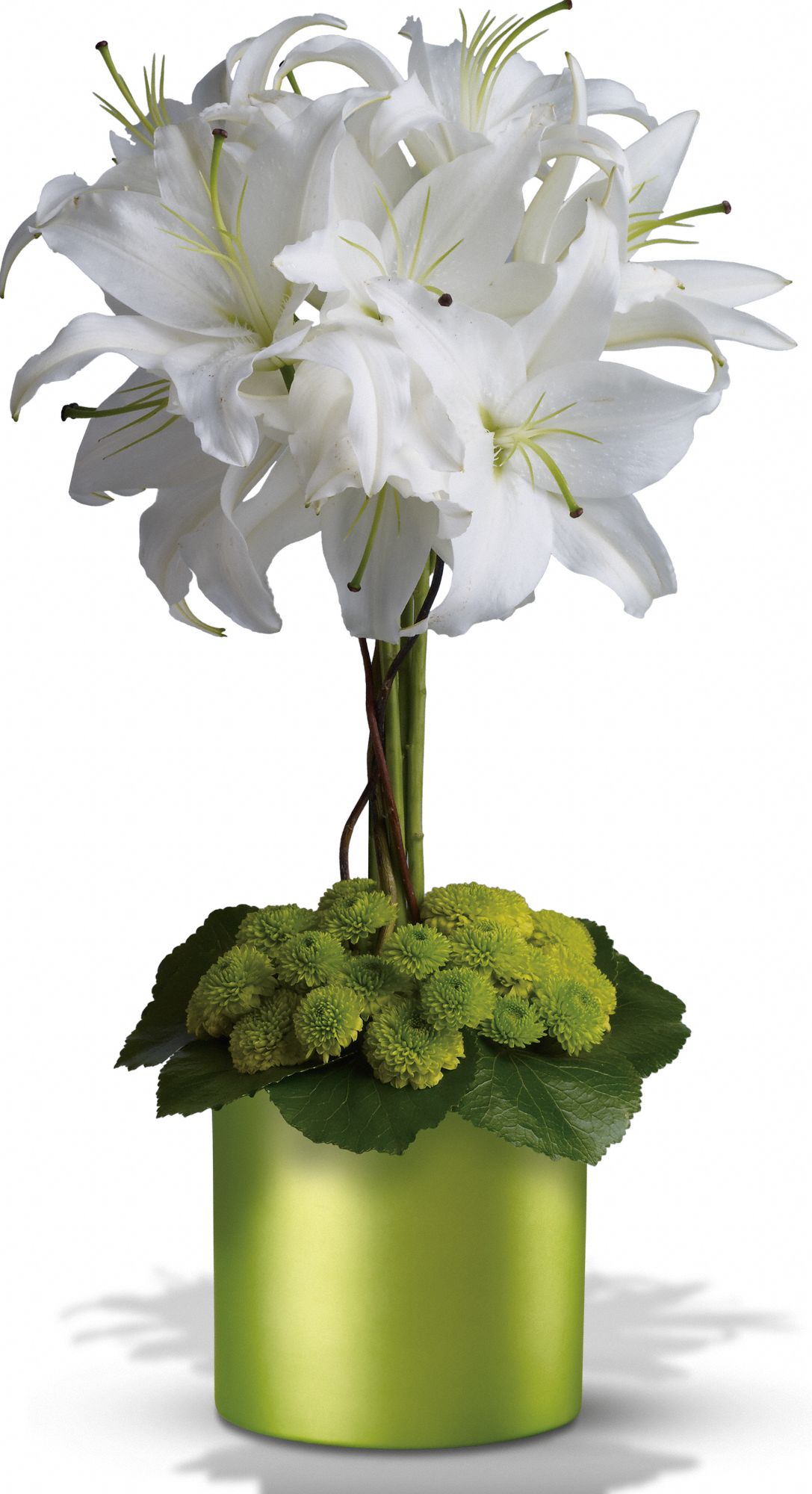 White Lily Topiary in Salt Lake City&nbsp;UT, Huddart Floral