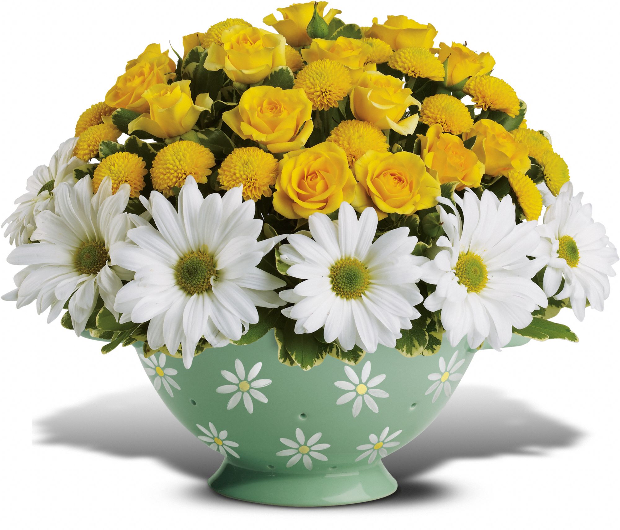 Teleflora's Daisy Colander Bouquet Flowers