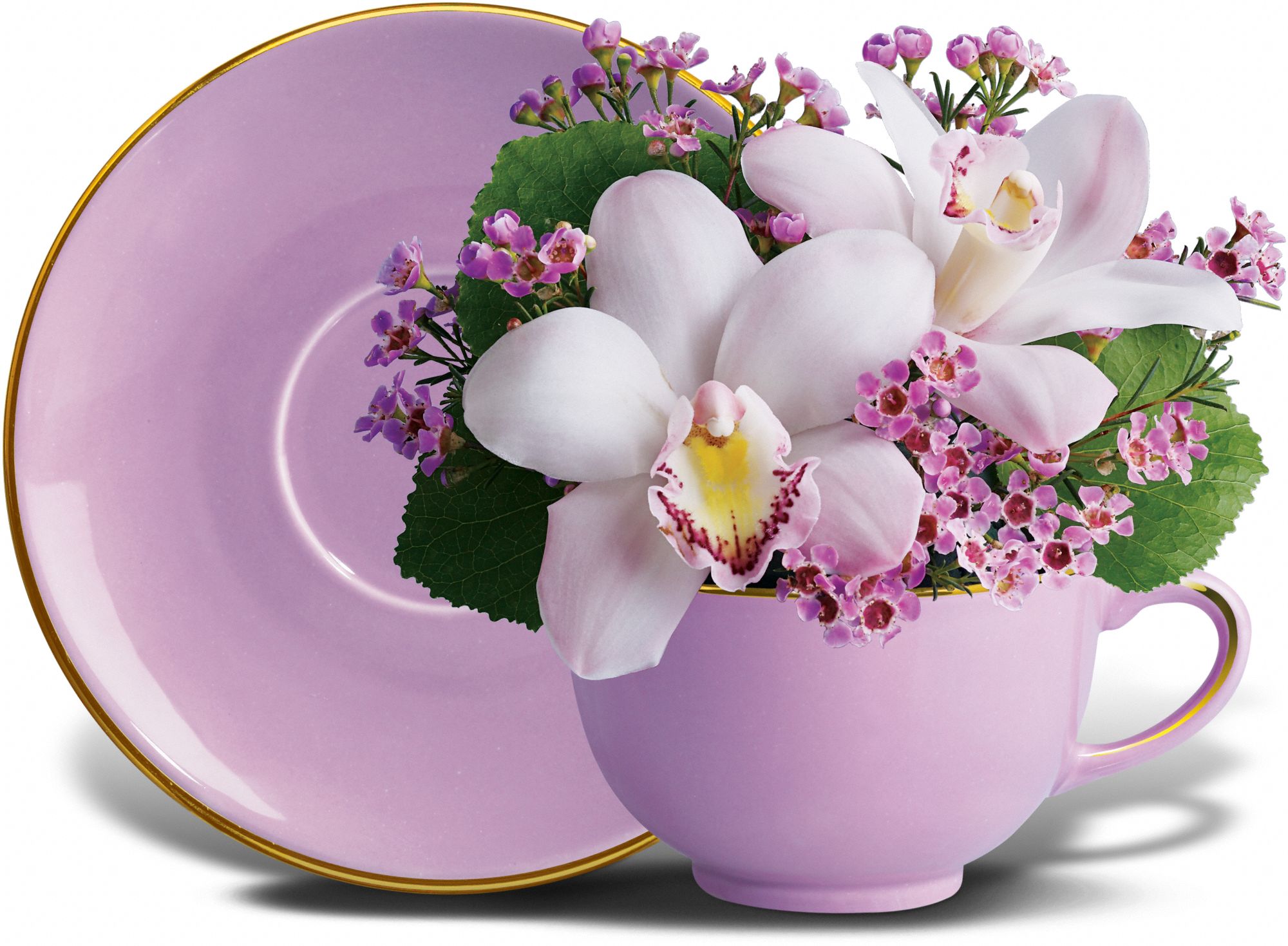 Orchid Teacup Bouquet by Teleflora in Compton&nbsp;CA, Villa Flowers
