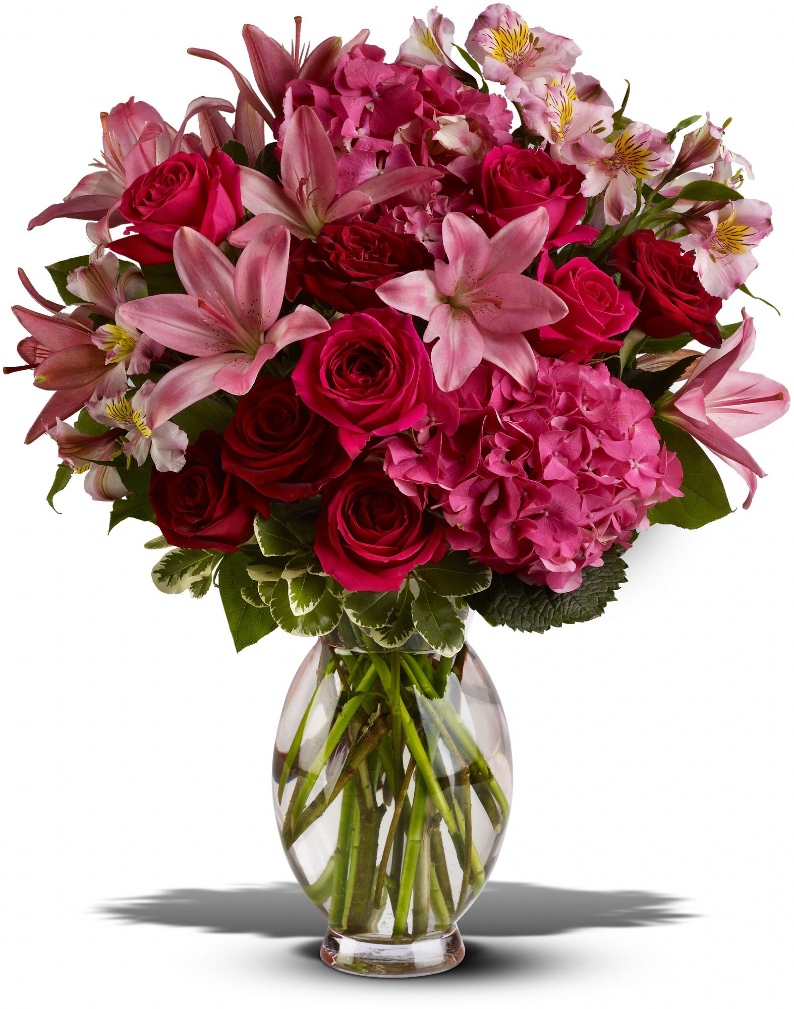 Teleflora's Head Over Heels, picture