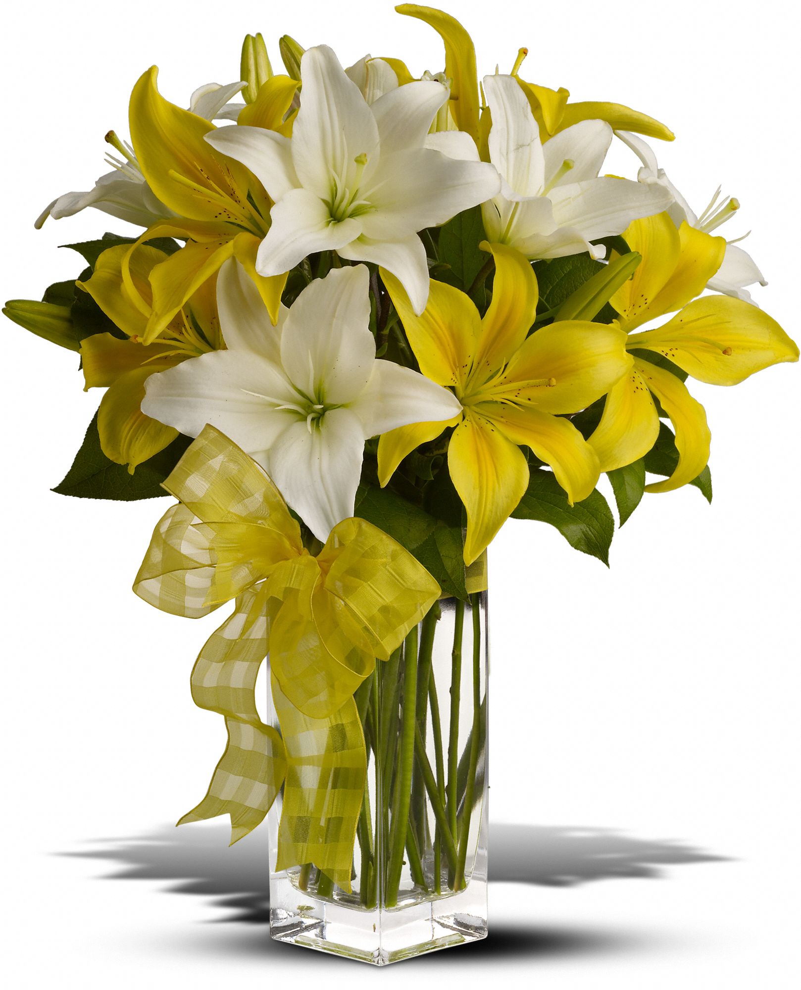 Teleflora's Pick-a-Lily Flowers