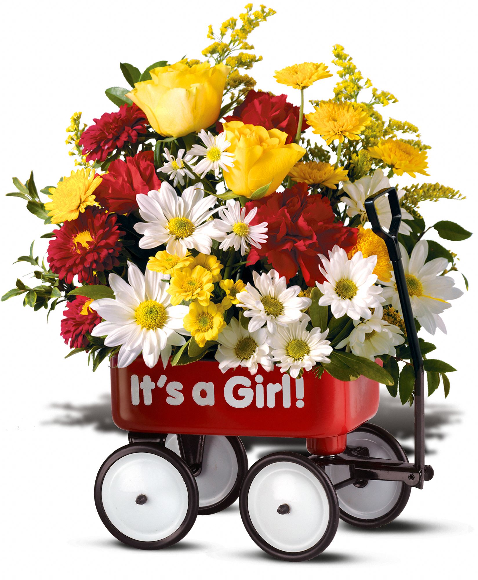 Teleflora's Baby's First Wagon - Girl in Indianapolis IN Gillespie Florists