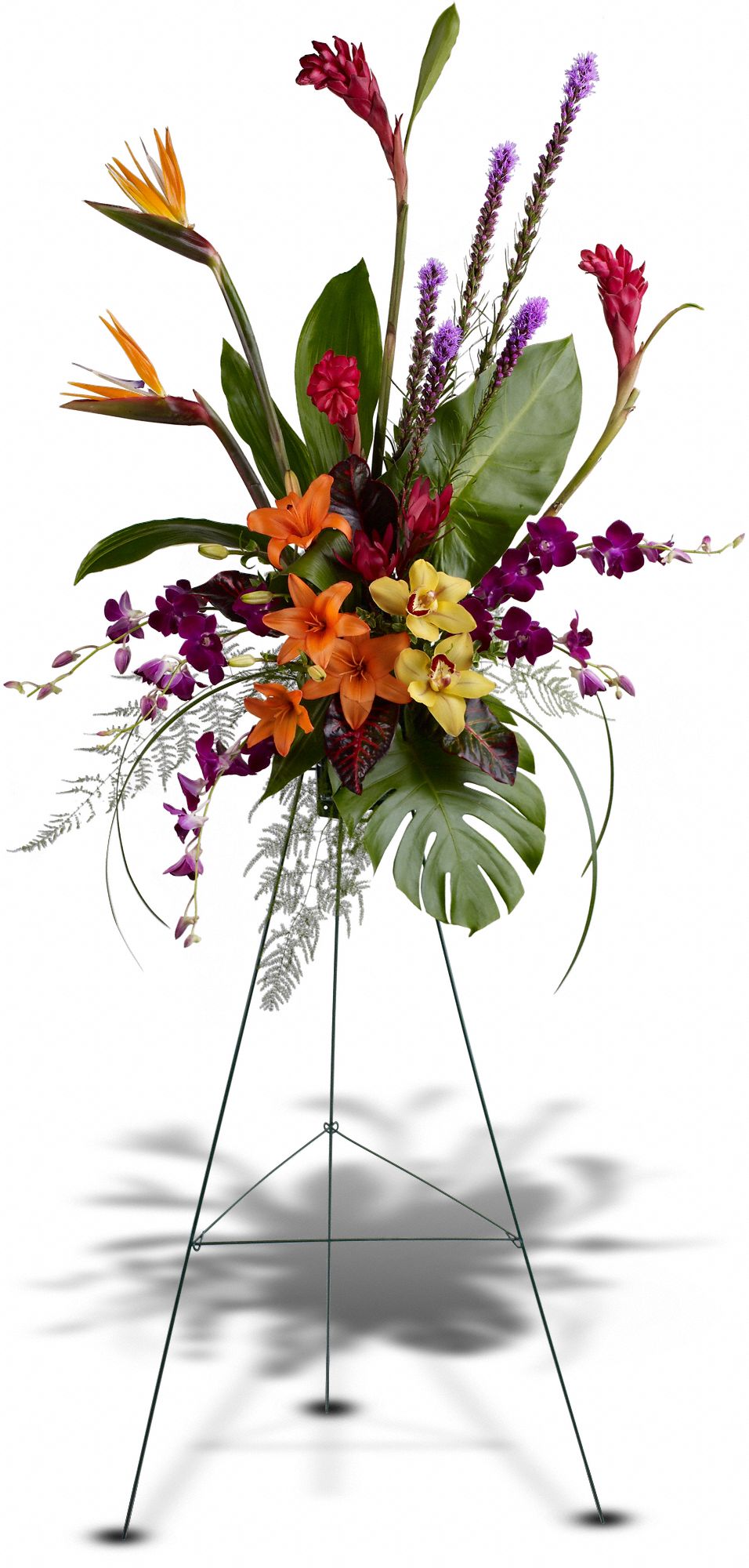 Paradise Tribute Spray in Frisco&nbsp;TX, Patti Ann's Flowers