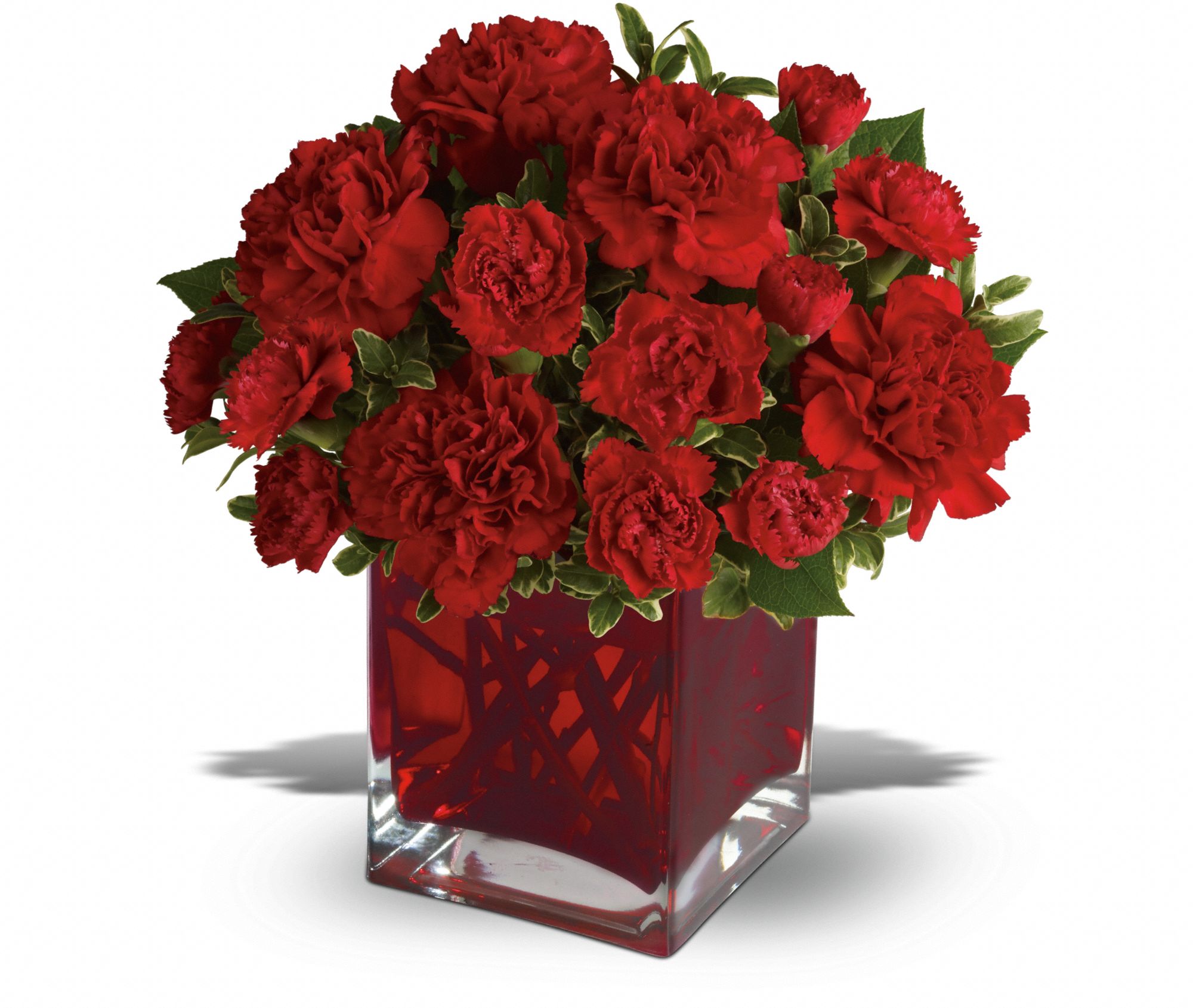 Teleflora's Precious Love Flowers
