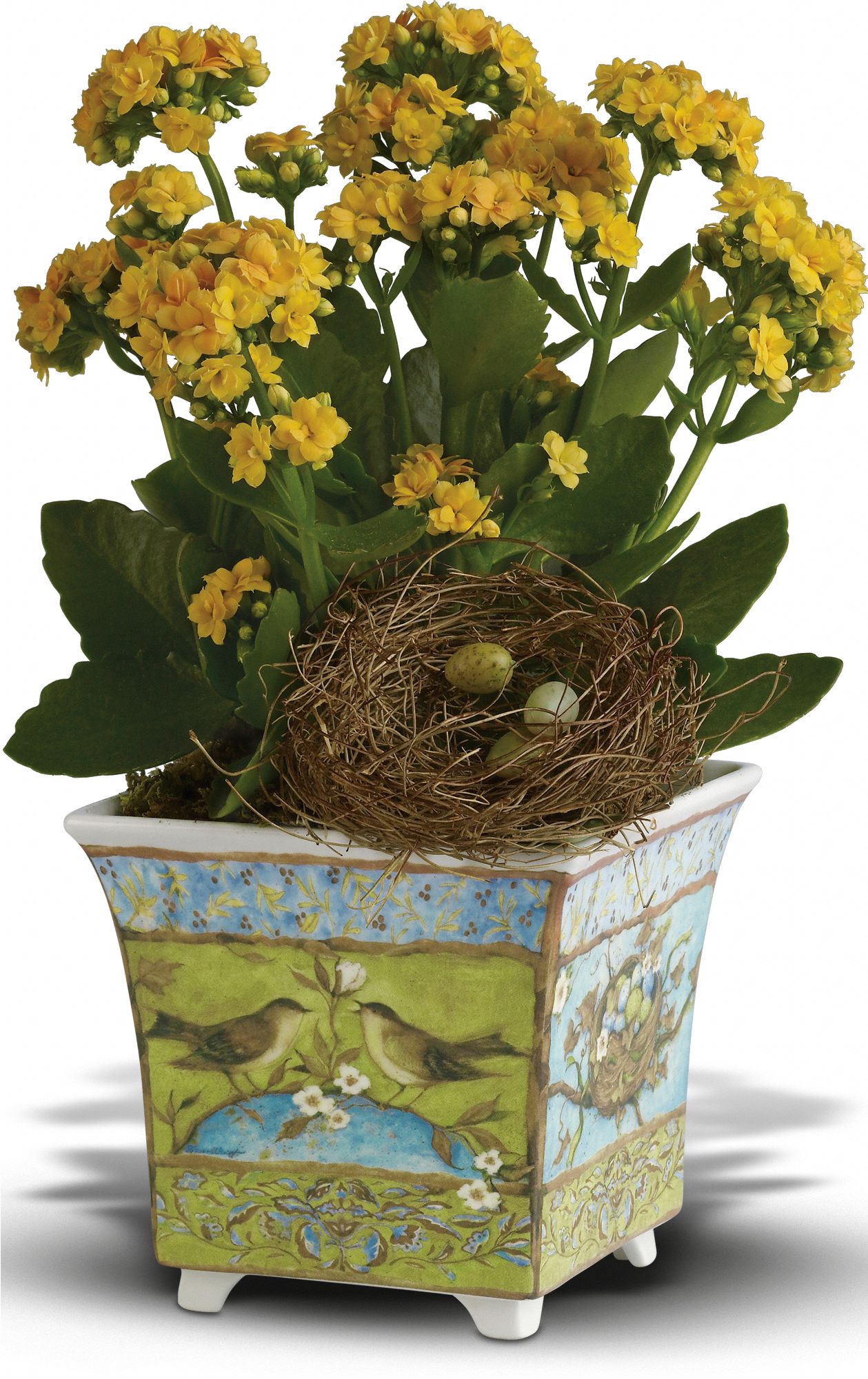 Susan Winget's Songbird Planter by Teleflora Flowers