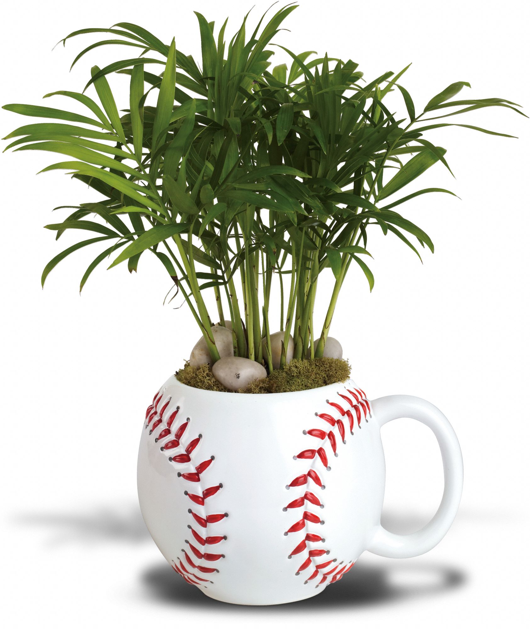 Teleflora's Base Hit Planter Flowers