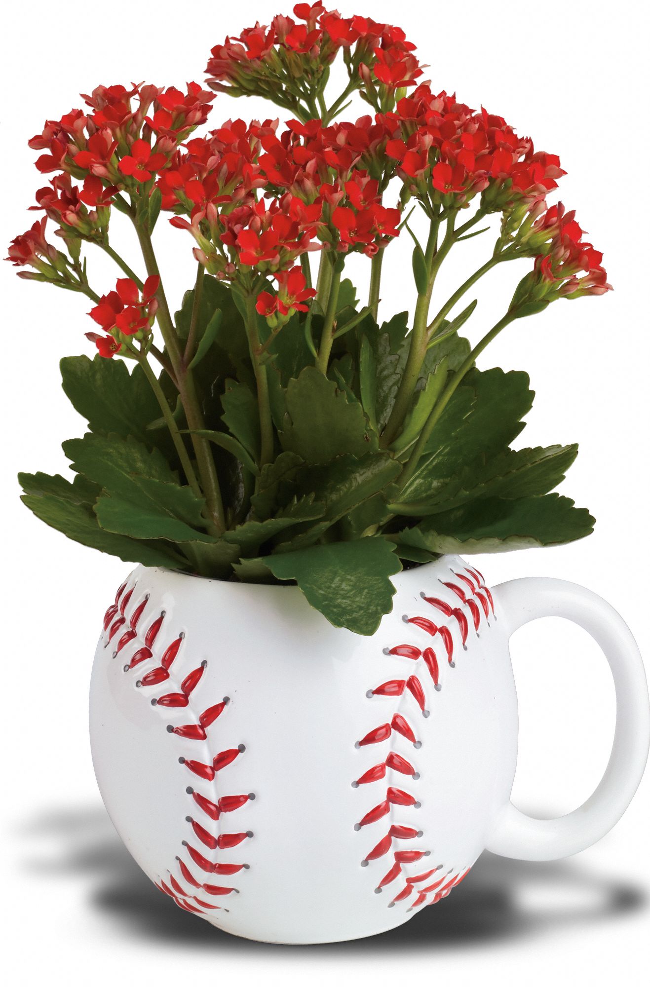 Teleflora's Ground Ball Planter Flowers