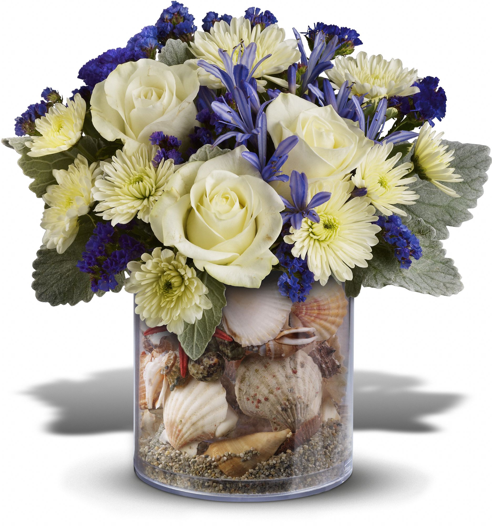 Teleflora's Summertime Surf in Nashua&nbsp;NH, Shirleys  Flowers and Sweets