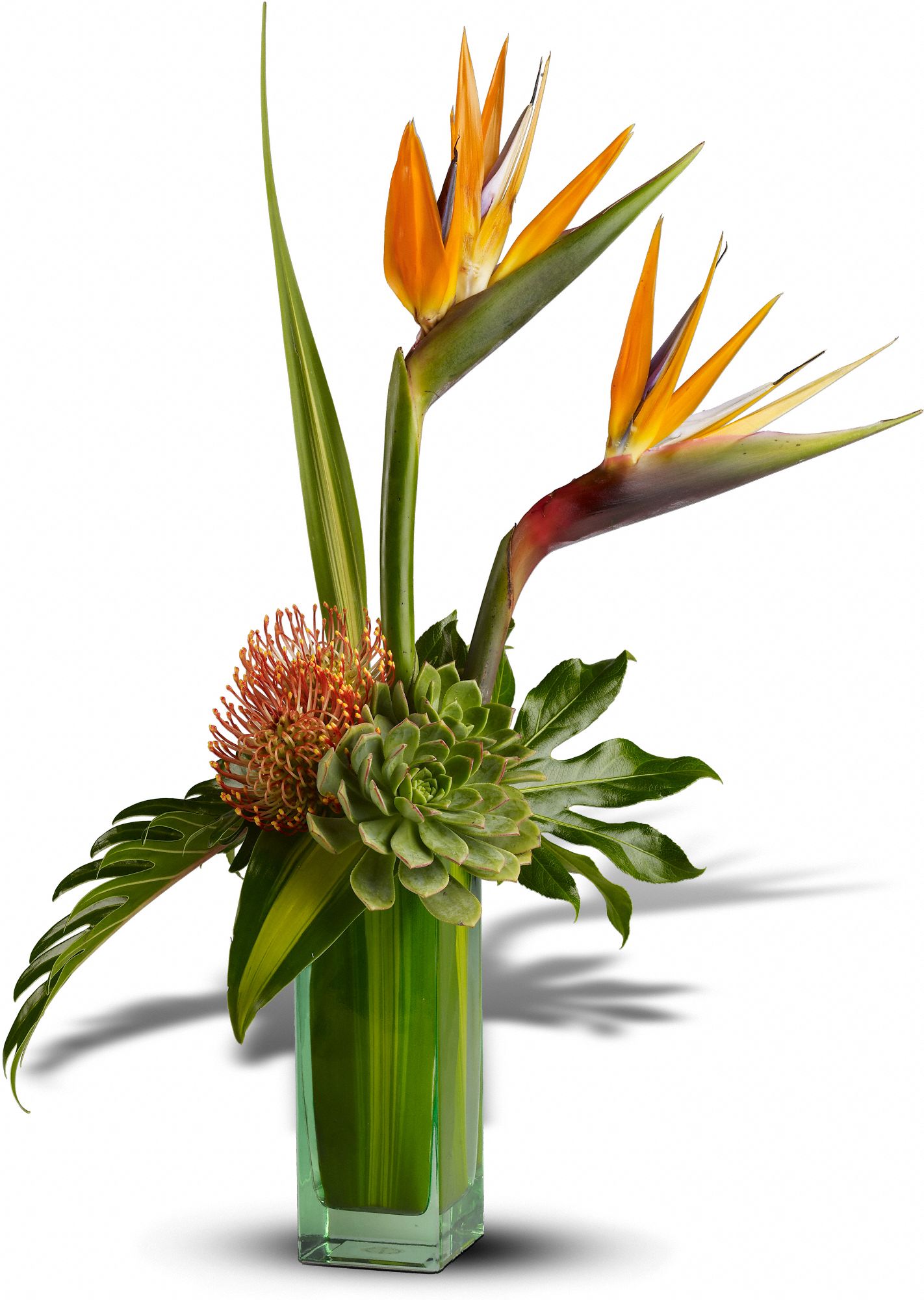 Teleflora's Birds of Beauty Flowers