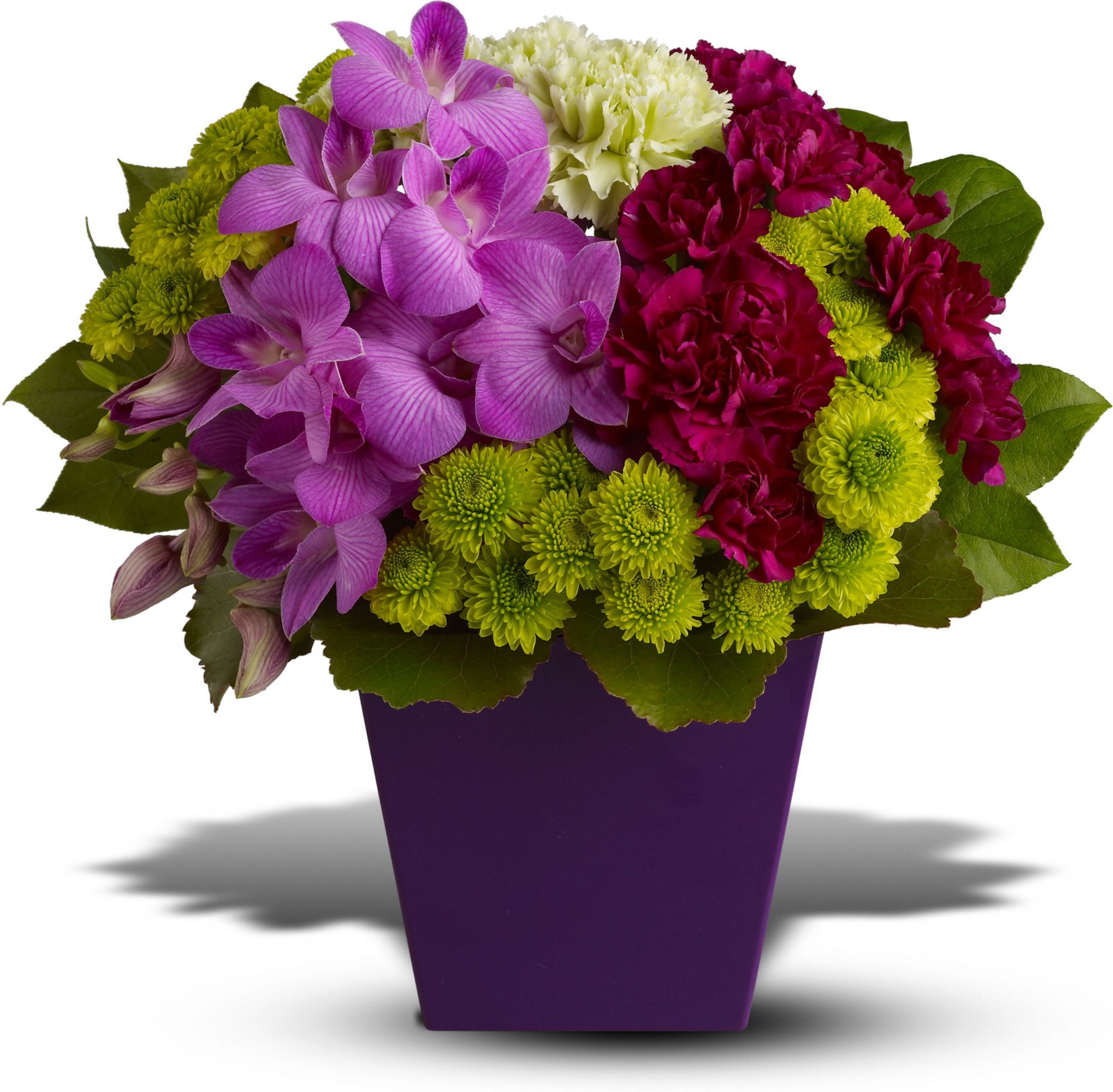 Teleflora's European Blooms in Irving&nbsp;TX, Snow's Florist