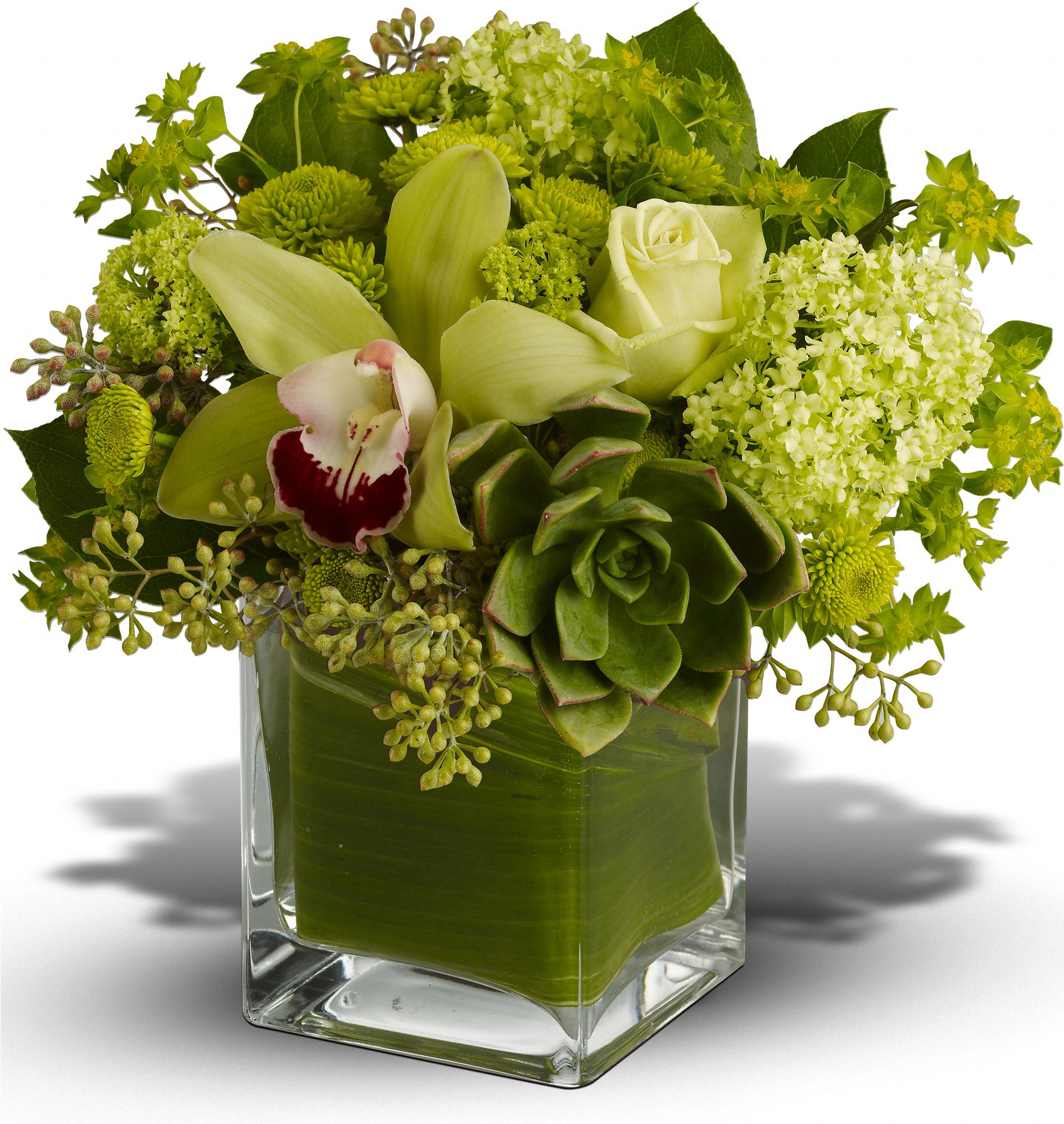 Teleflora's Rainforest Bouquet Flowers