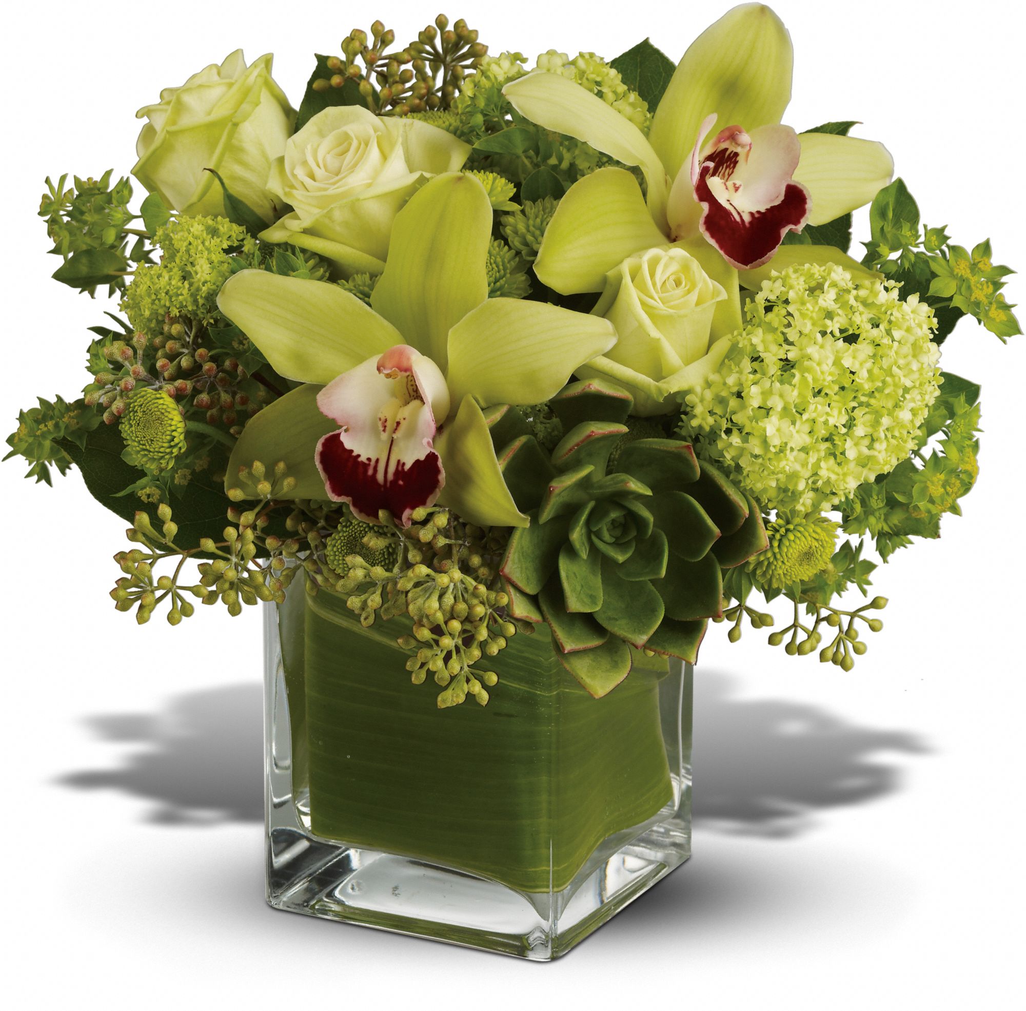 Teleflora's Rainforest Bouquet -  Deluxe in San Francisco&nbsp;CA, A New Leaf Florist