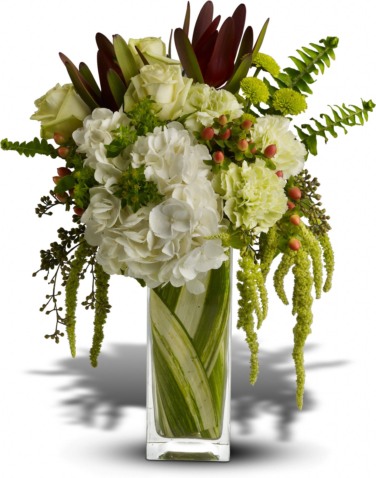 Teleflora's Nature's Kiss in San Francisco&nbsp;CA, A New Leaf Florist