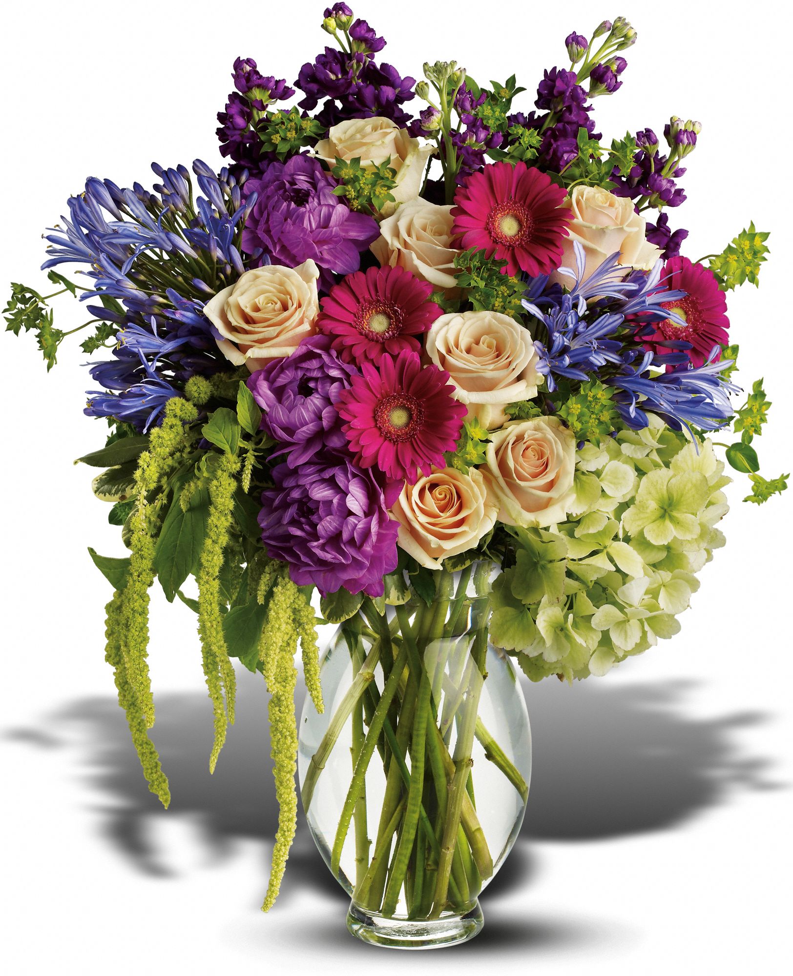 teleflora's garden promenade, picture