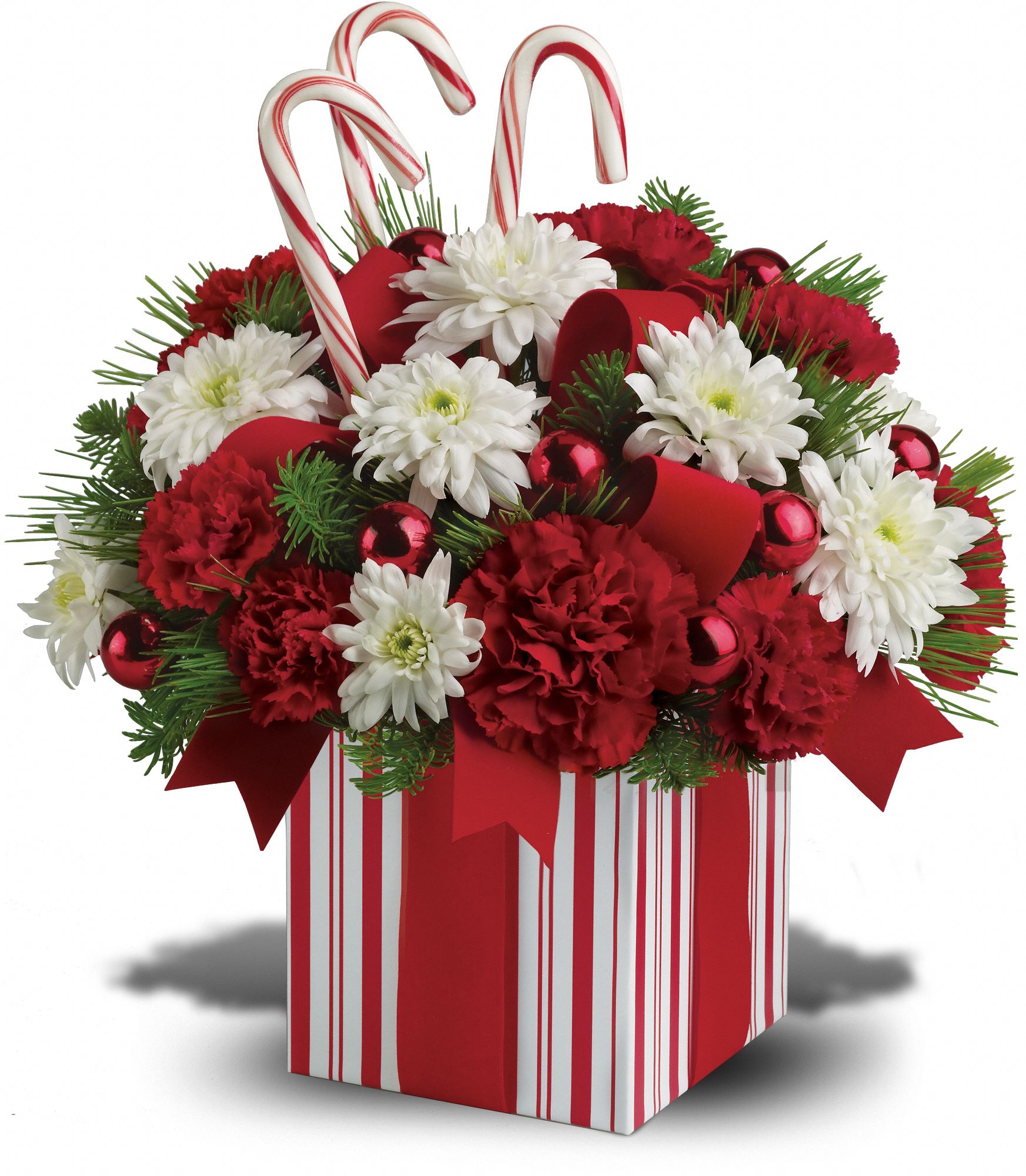 Teleflora's Christmas Present Bouquet in Redlands&nbsp;CA, Christina loves... The Bloom Room