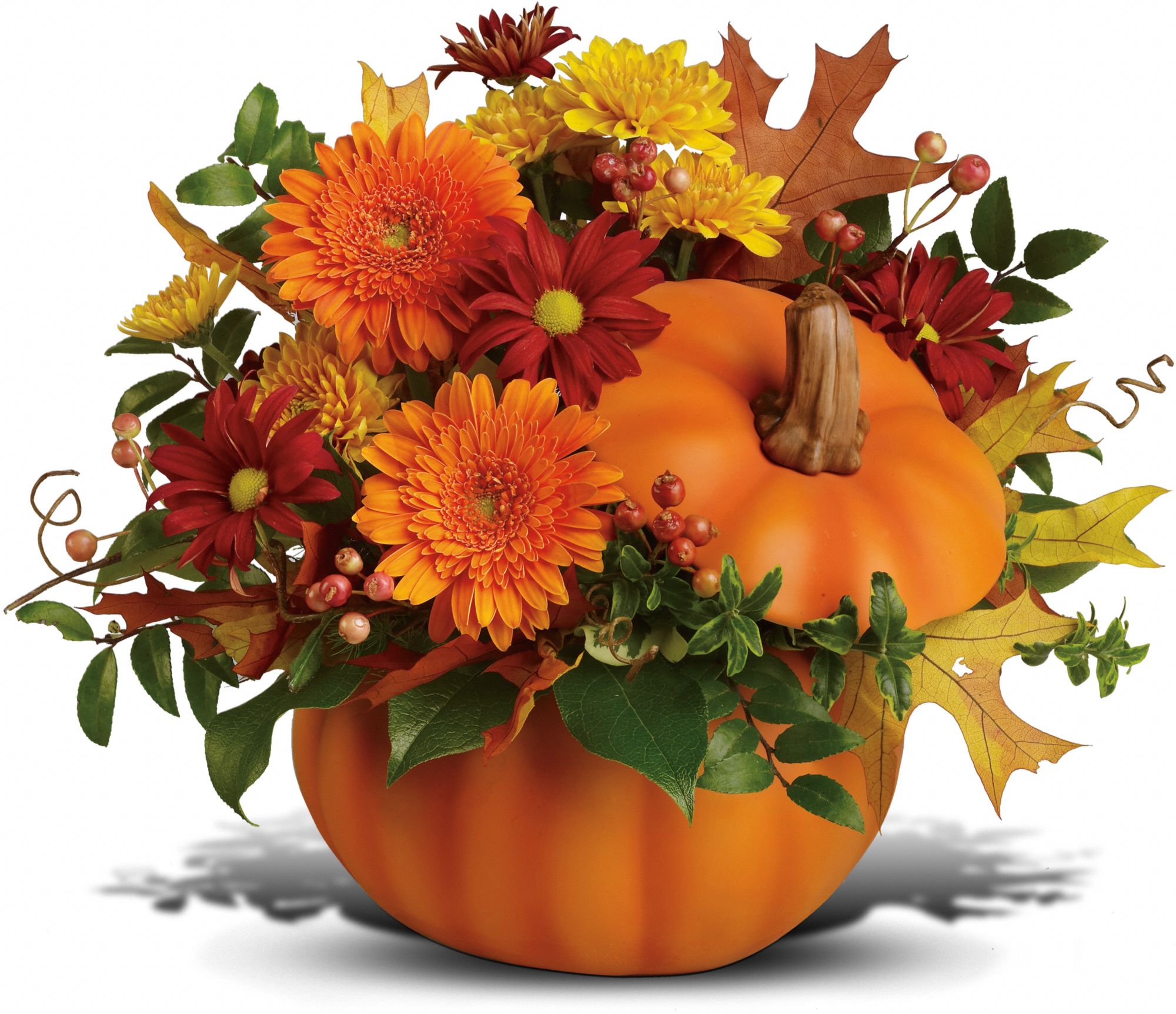 Teleflora's Somethin' Pumpkin, picture