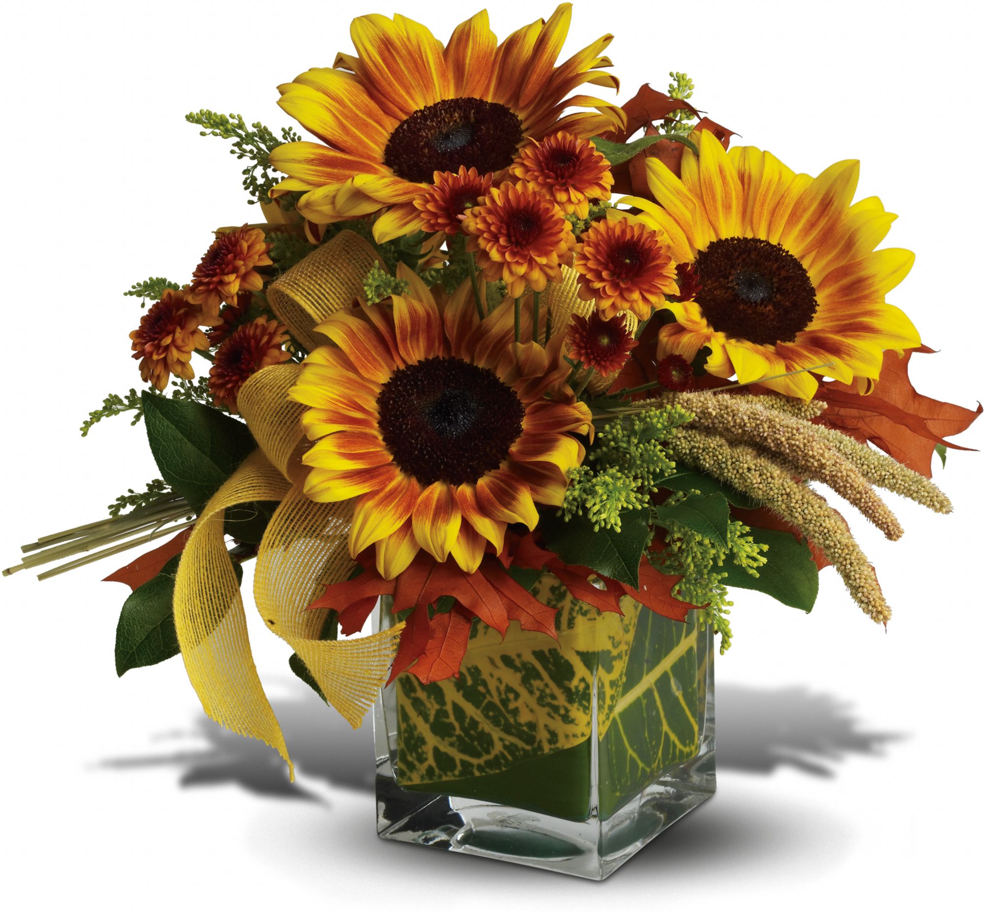 Teleflora's Funflowers in Tulsa&nbsp;OK, Aviva Flowers & ...