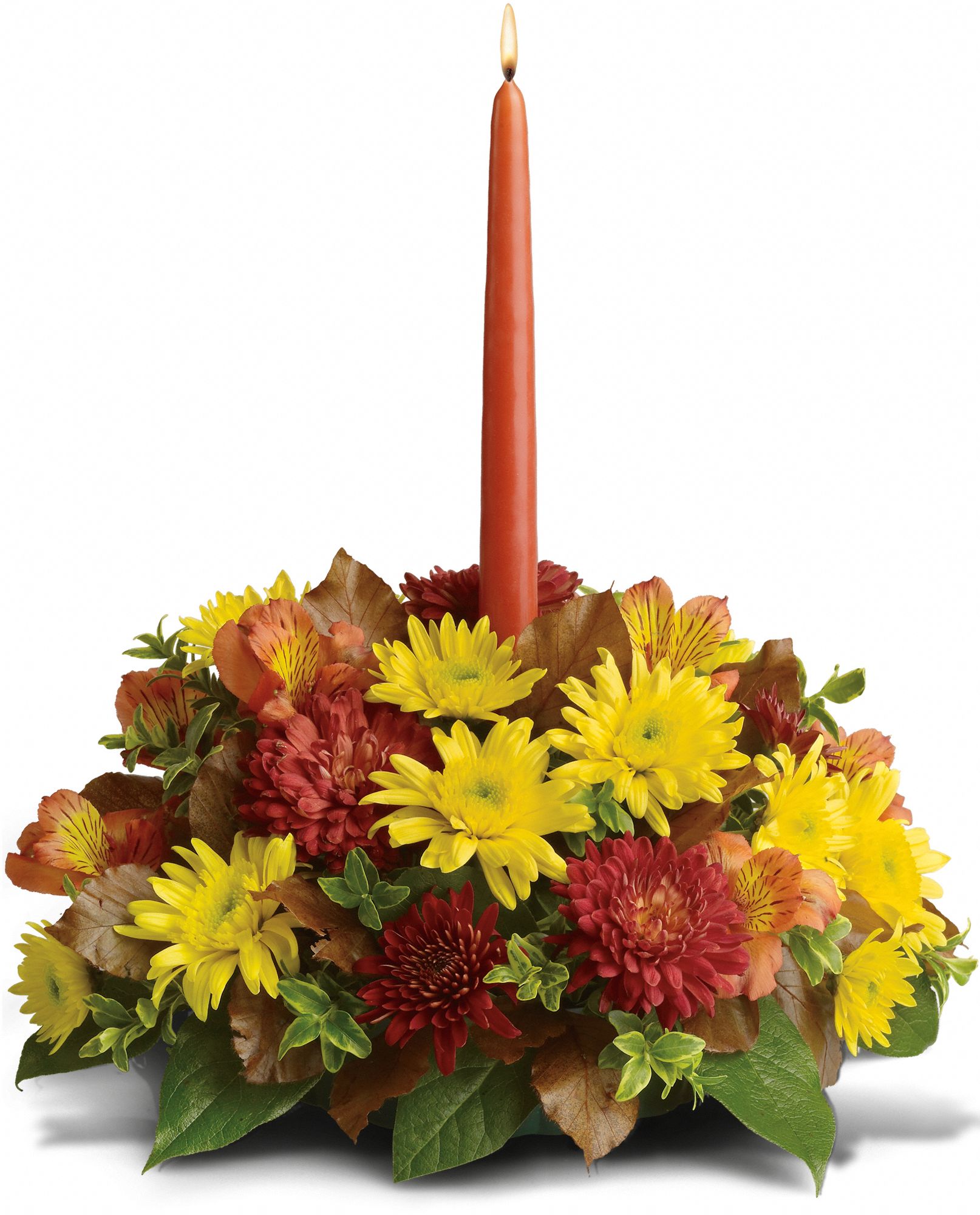 Bright to Light Centerpiece in Macon GA A Touch of Glover/Ruby's Florist