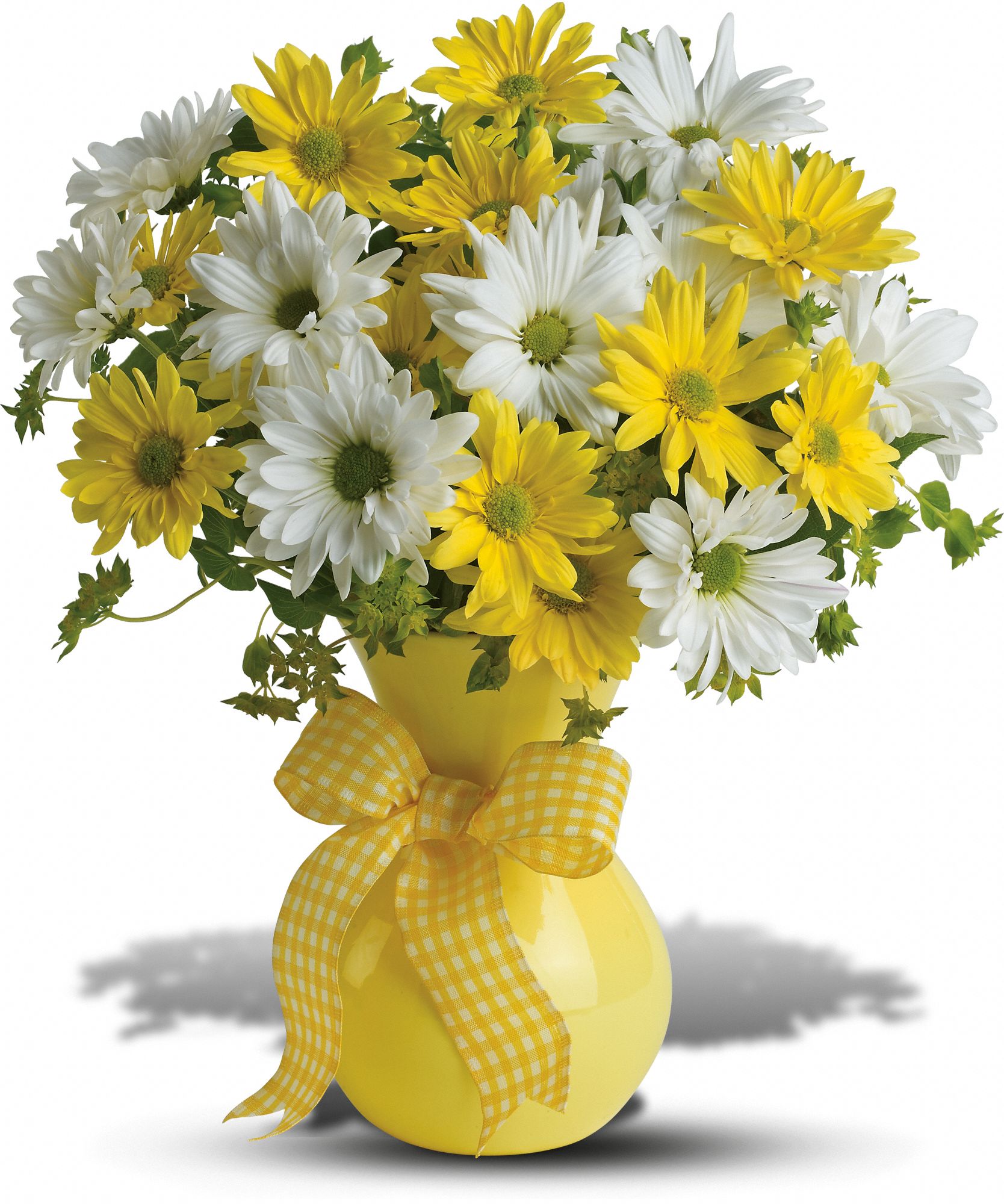 Teleflora's Upsy Daisy in Nashville&nbsp;TN, Flowers By Louis Hody