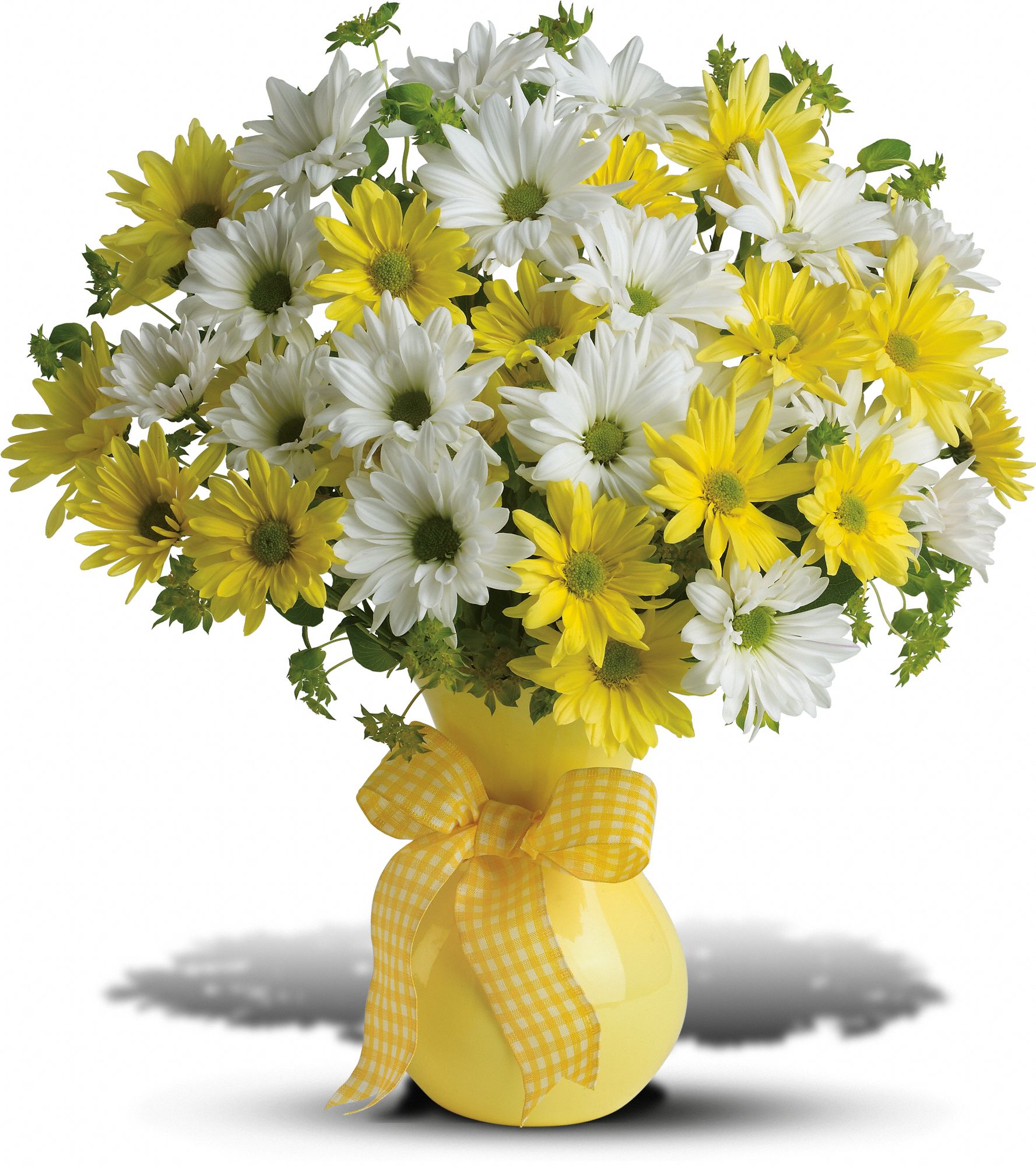 Teleflora's Upsy Daisy - Deluxe in Ann Arbor&nbsp;MI, Lily's Garden