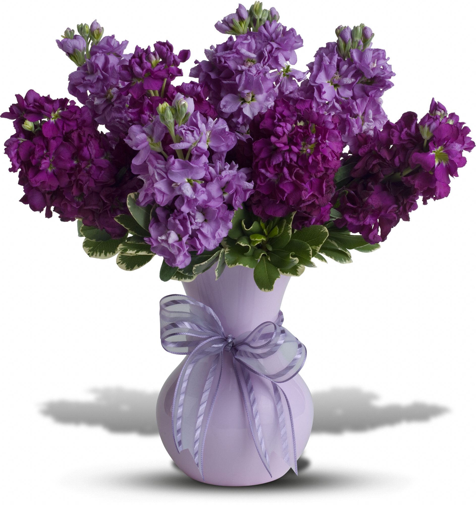 Teleflora's Visions of Violet Flowers