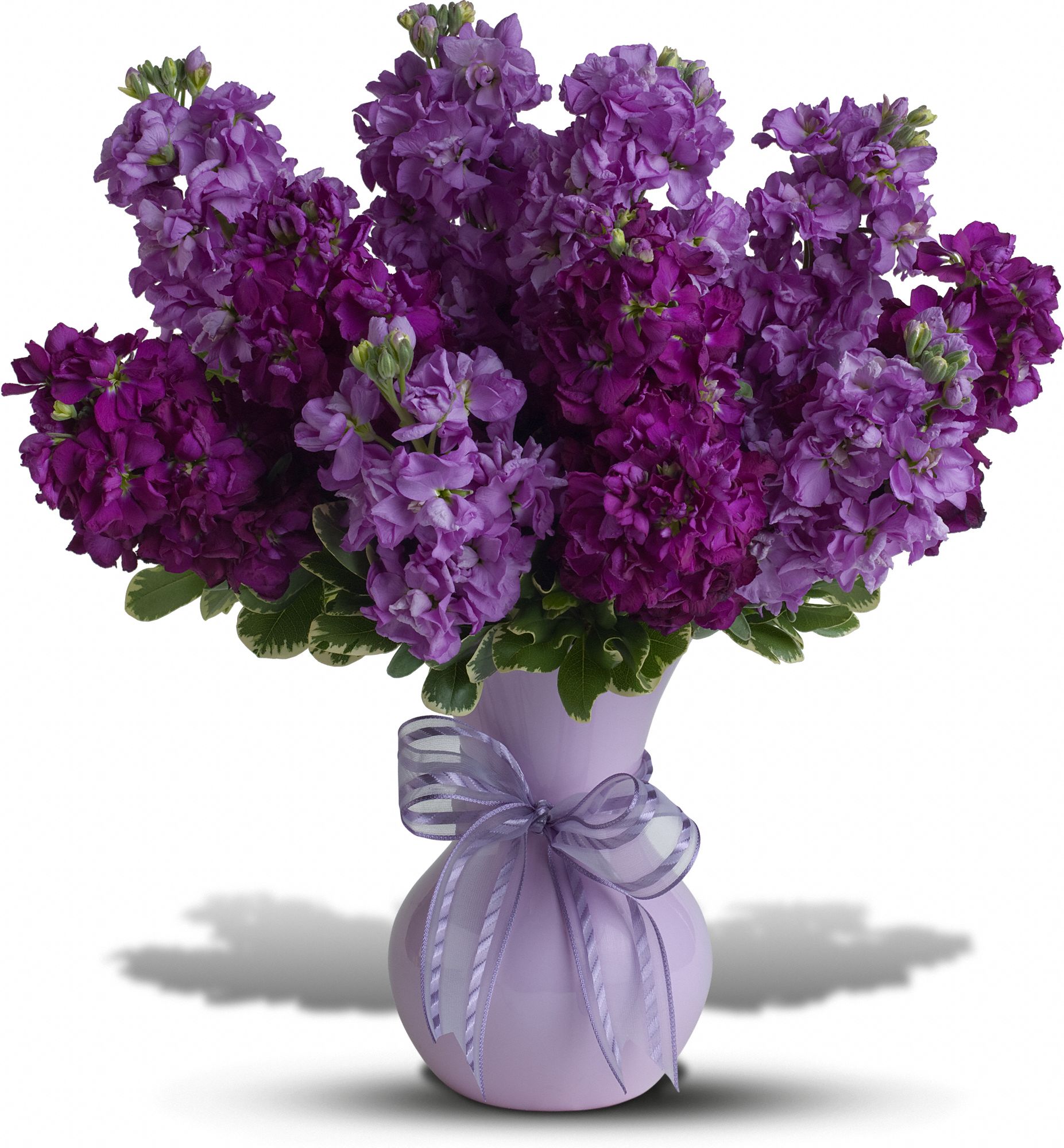 Teleflora's Visions of Violet Flowers