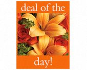 Deal of the Day Bouquet, picture