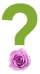 Florist's Choice Bouquet in Novi&nbsp;MI, The Flower Alley