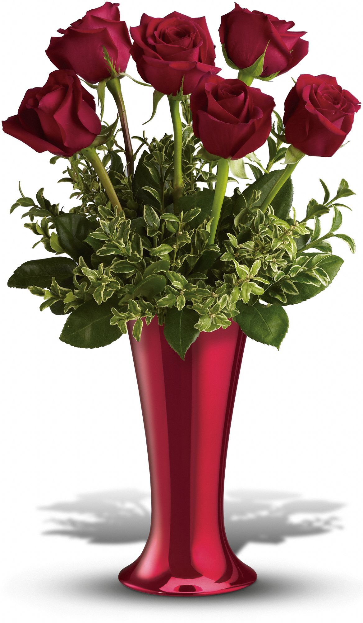 Teleflora's Red Hot Half-Dozen in Lakewood CO Nature's Palate Floral
